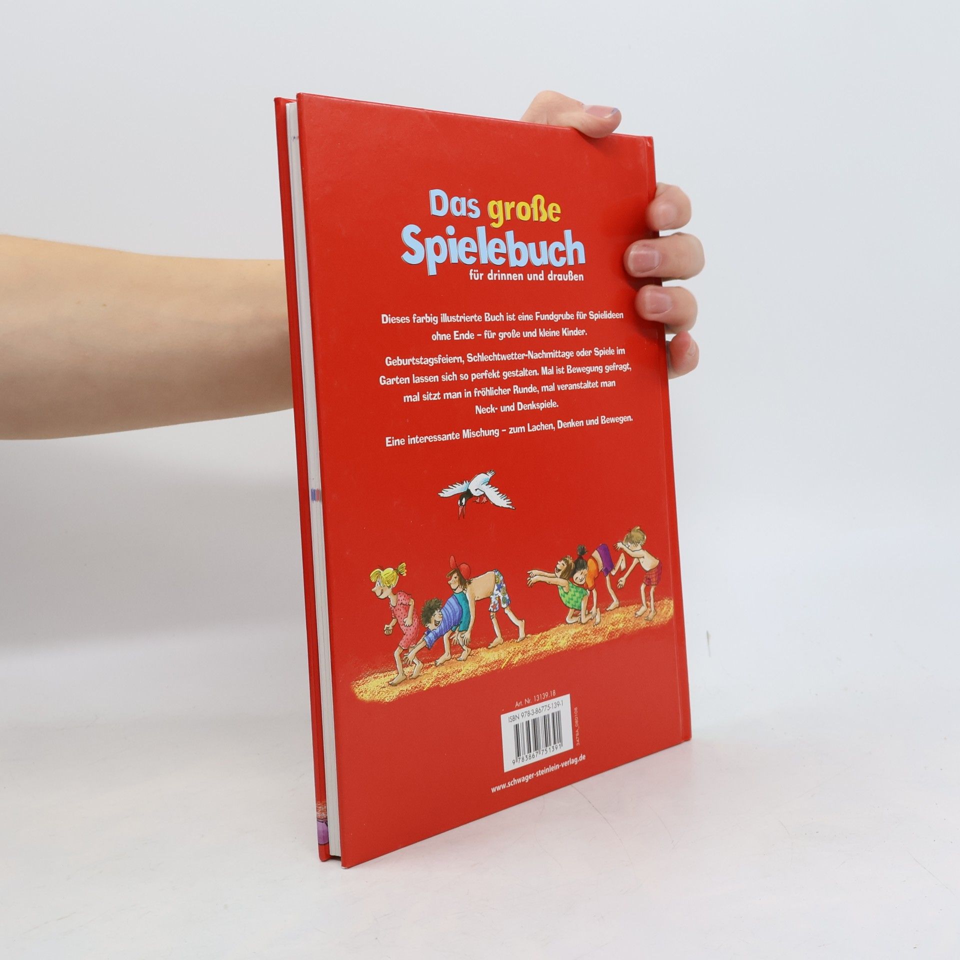 Kolektiv autorů Das große Spielebuch für drinnen und draußen