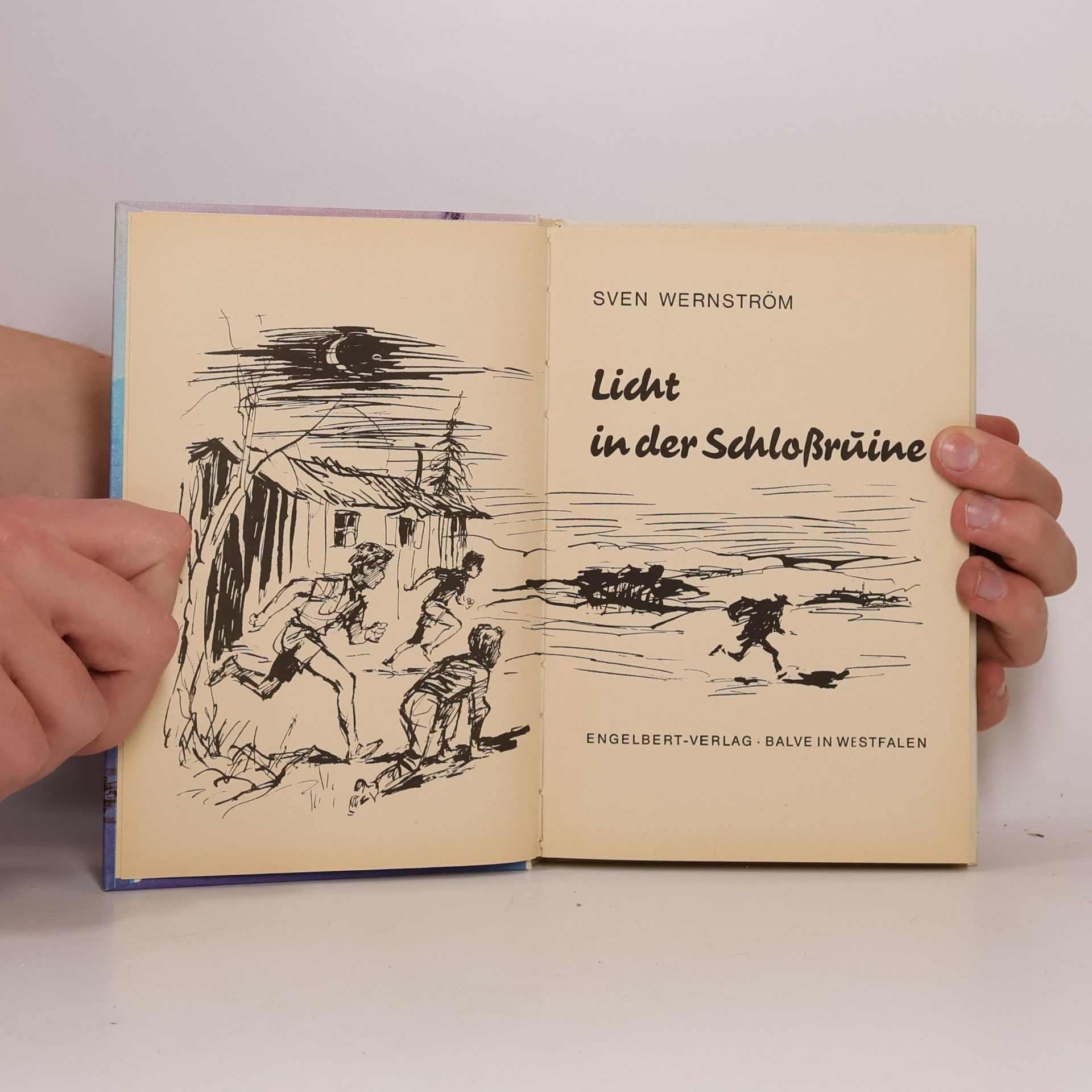 Sven Wernström Licht in der Schloßruine