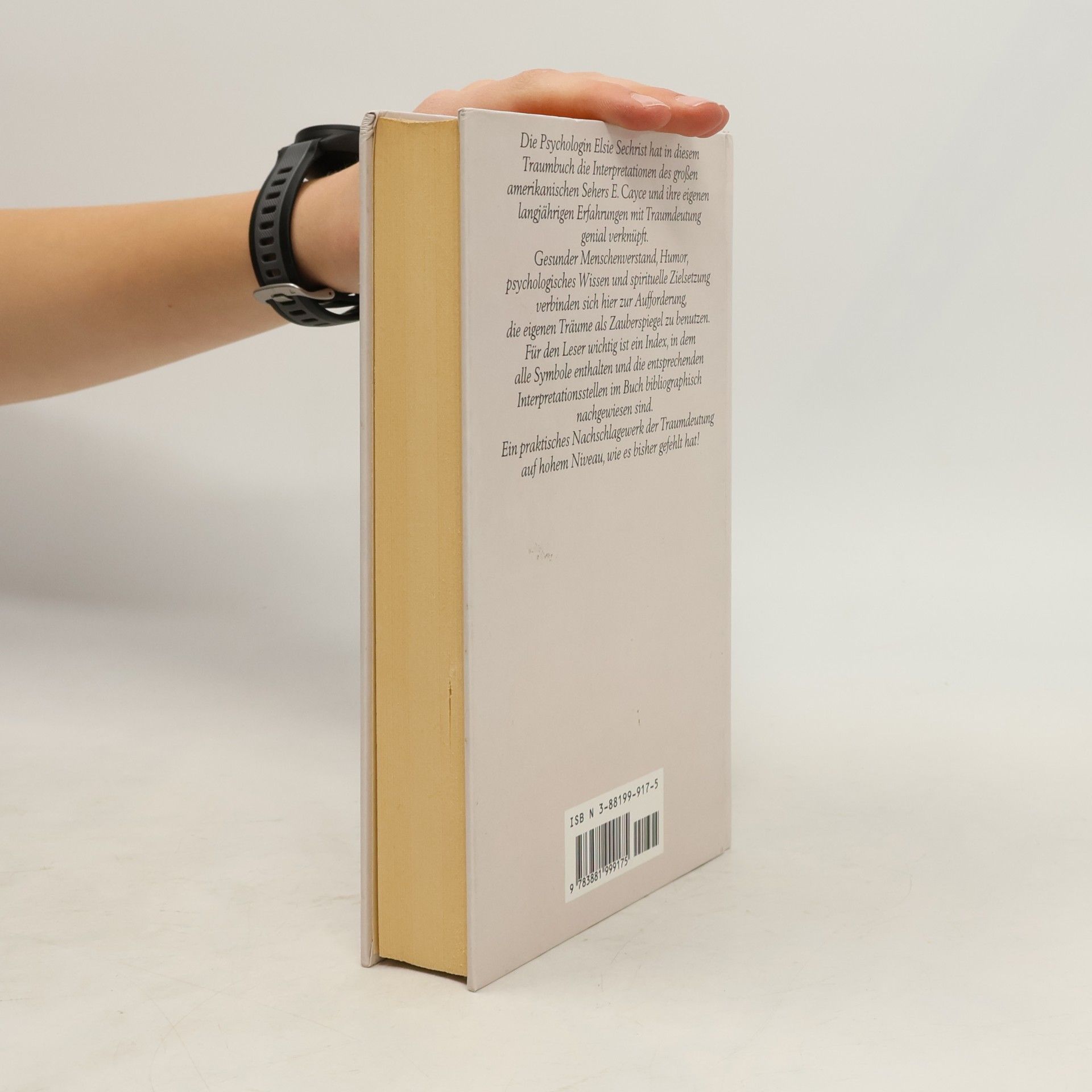 Elsie Sechrist Das grosse Traumbuch