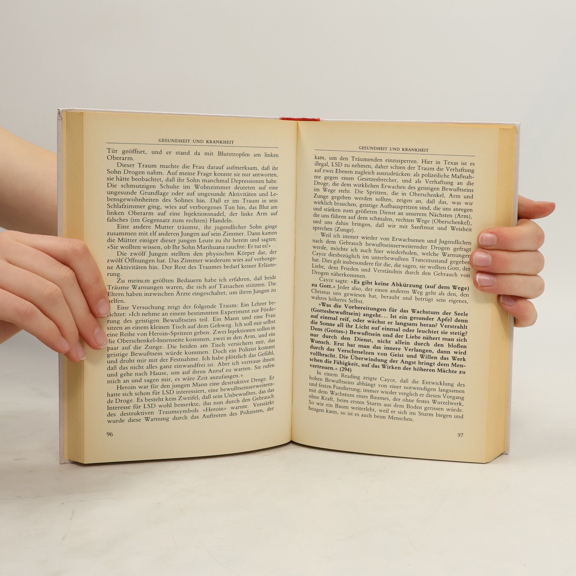 Elsie Sechrist Das grosse Traumbuch