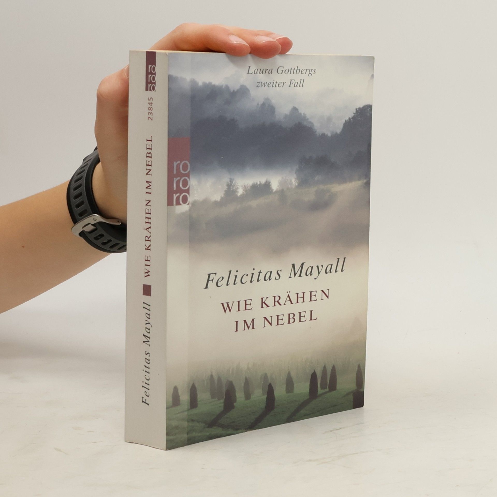 Wie Krähen im Nebel