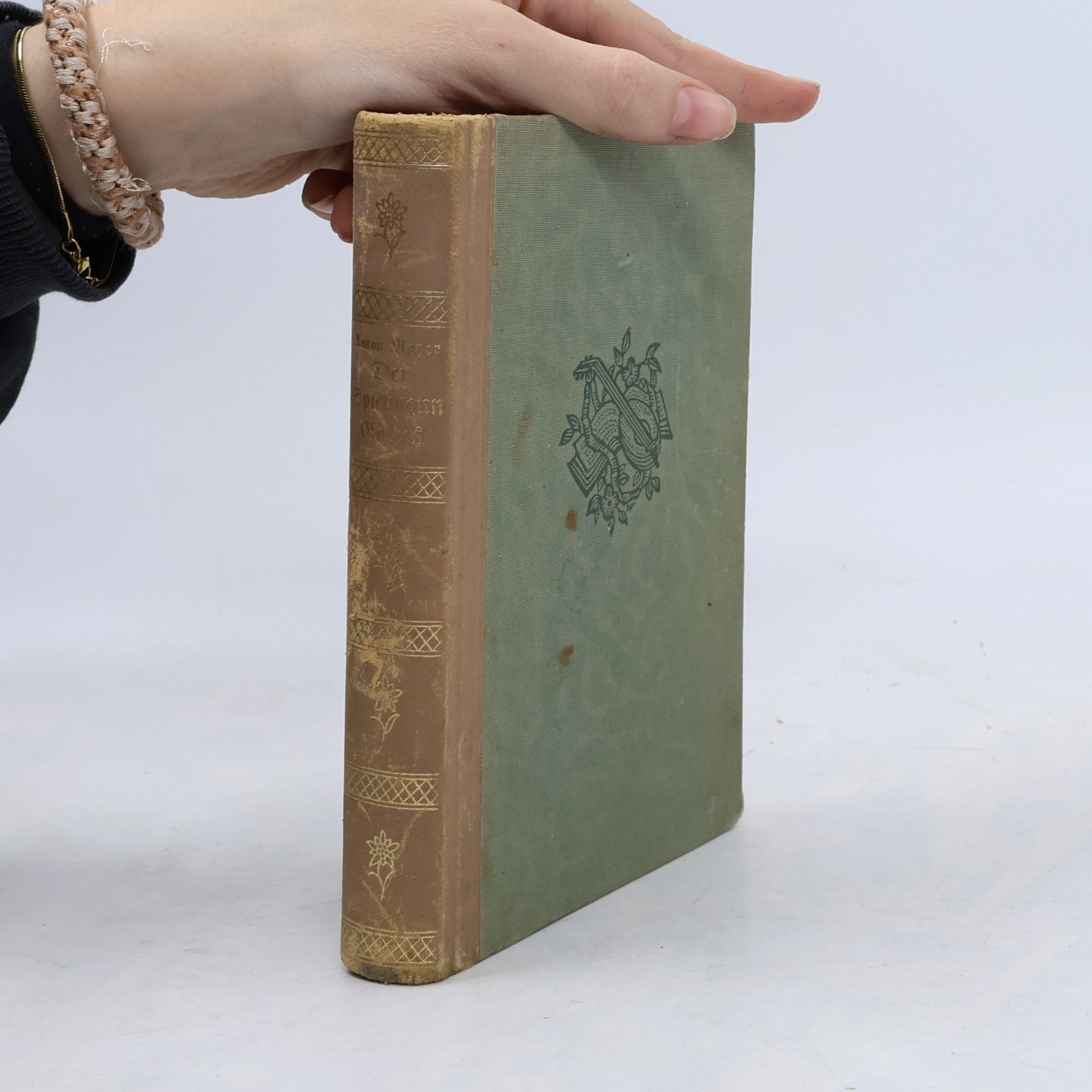 Anton Mayer Der Spielmann Gottes
