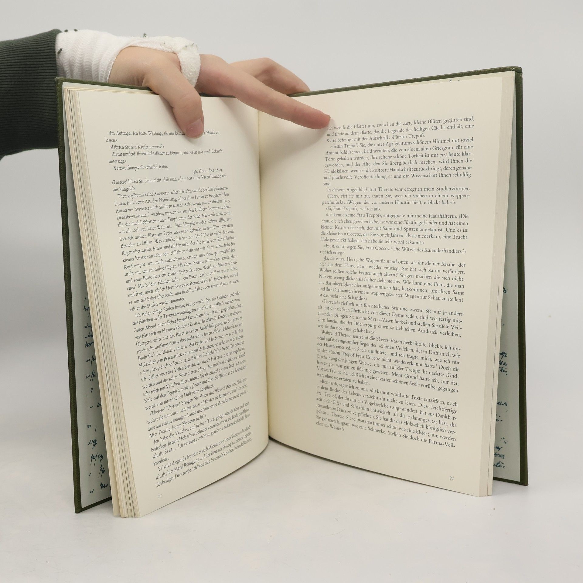 Kolektiv autorů Nobelpreis für Literatur: Begleitband