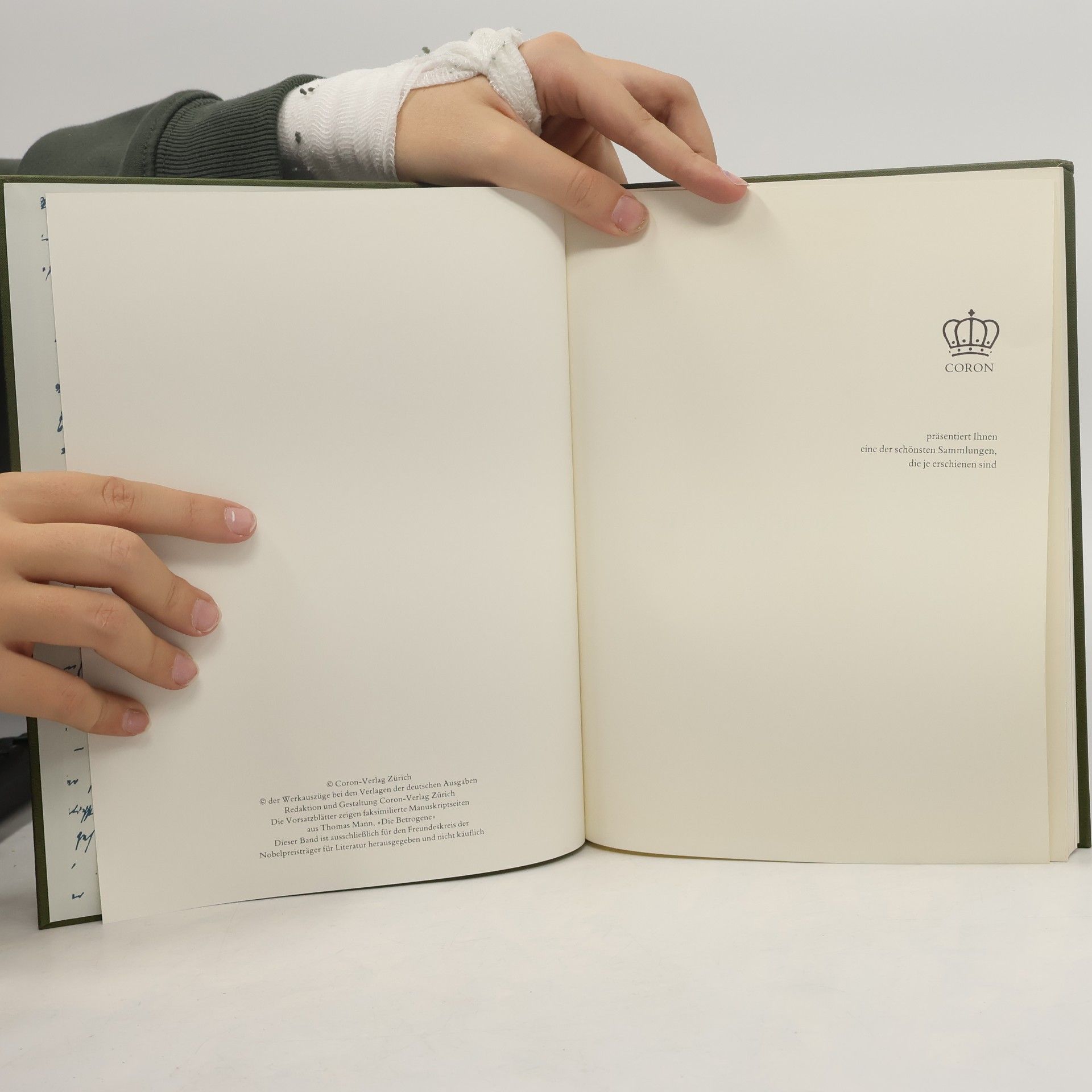 Kolektiv autorů Nobelpreis für Literatur: Begleitband