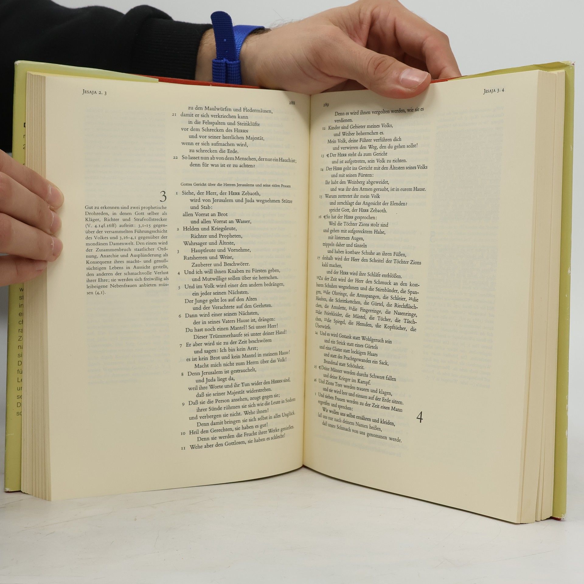 Martin Luther Das Alte Testament mit Erklärungen 2
