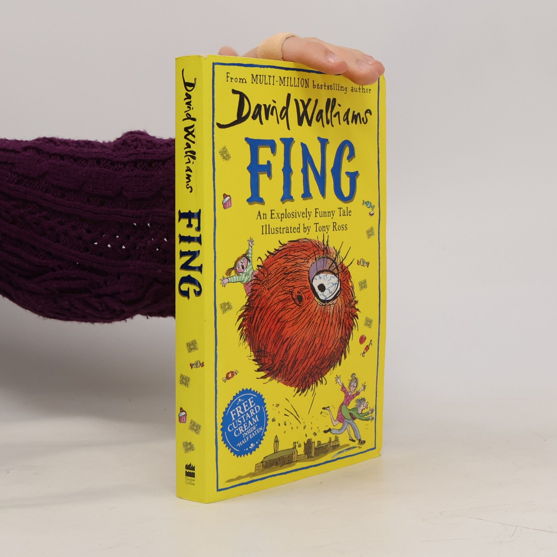 David Walliams Fing