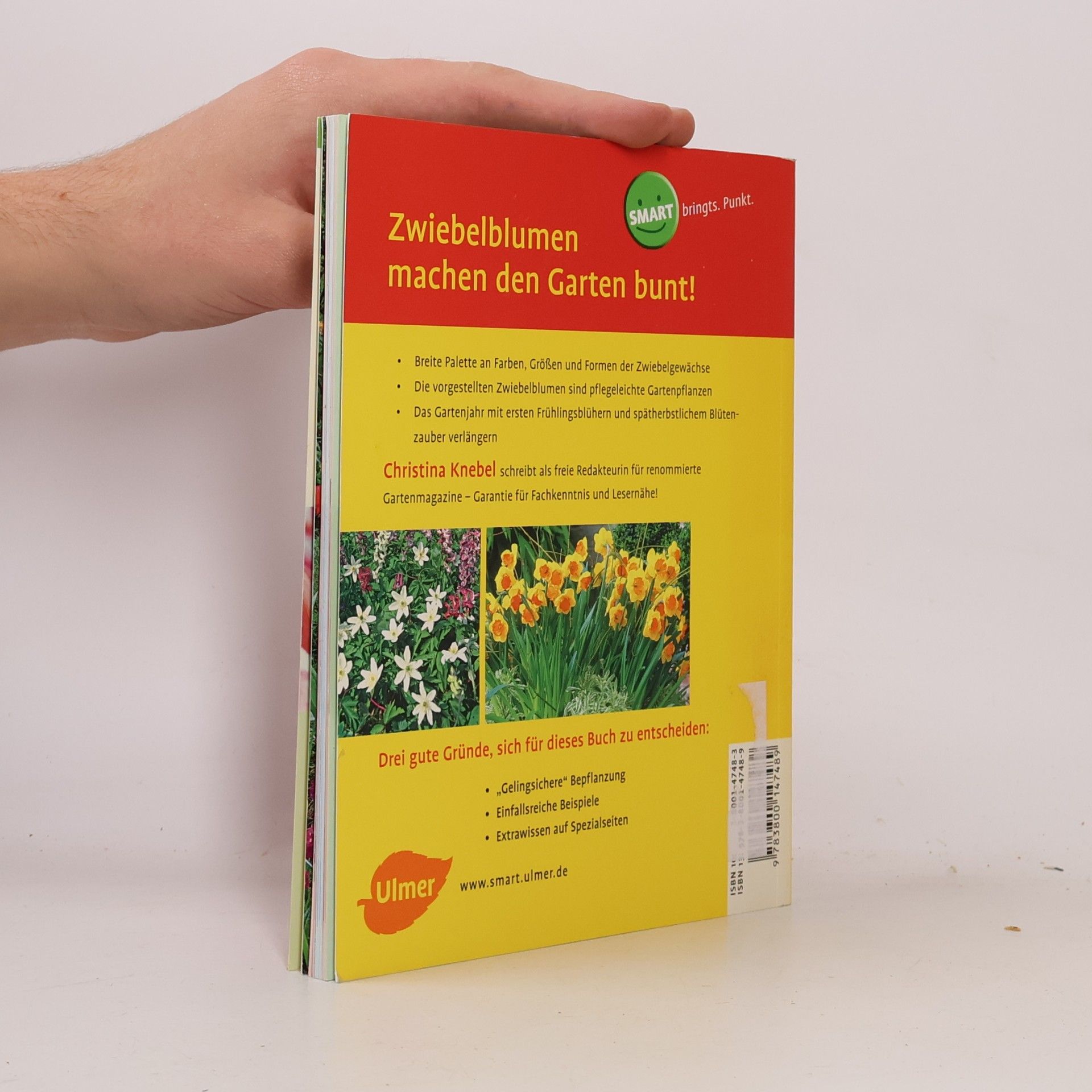 Christina Knebel Zwiebelblumen