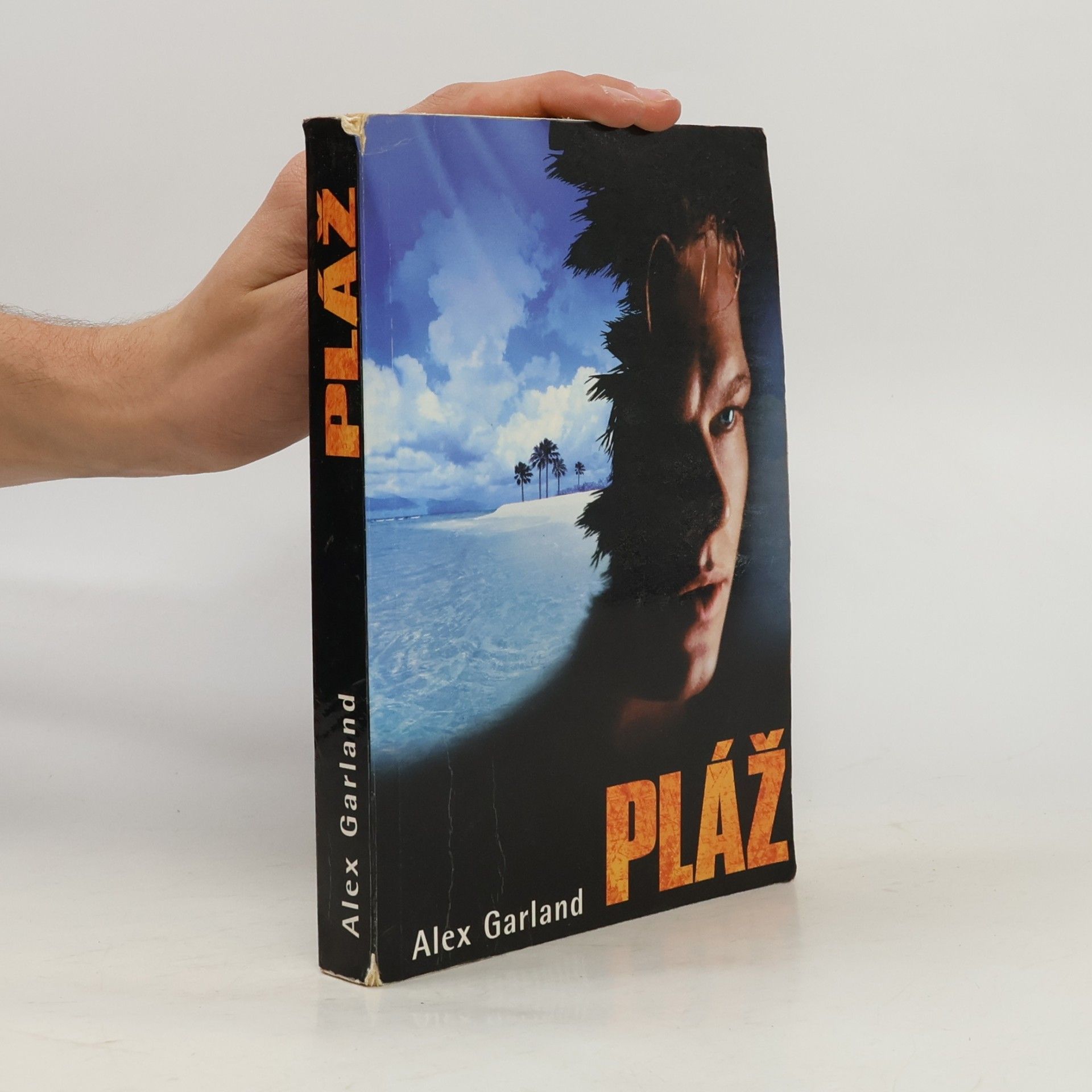 Pláž