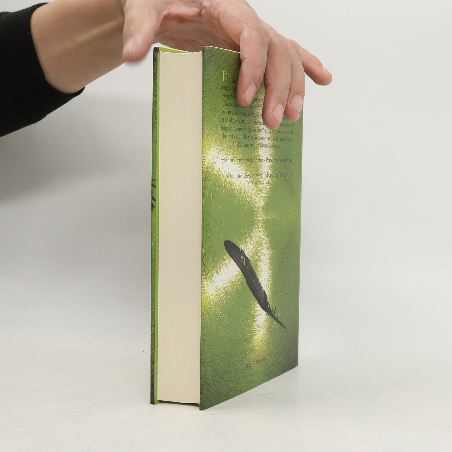 James Patterson Der Tag, an dem der Wind dich trägt