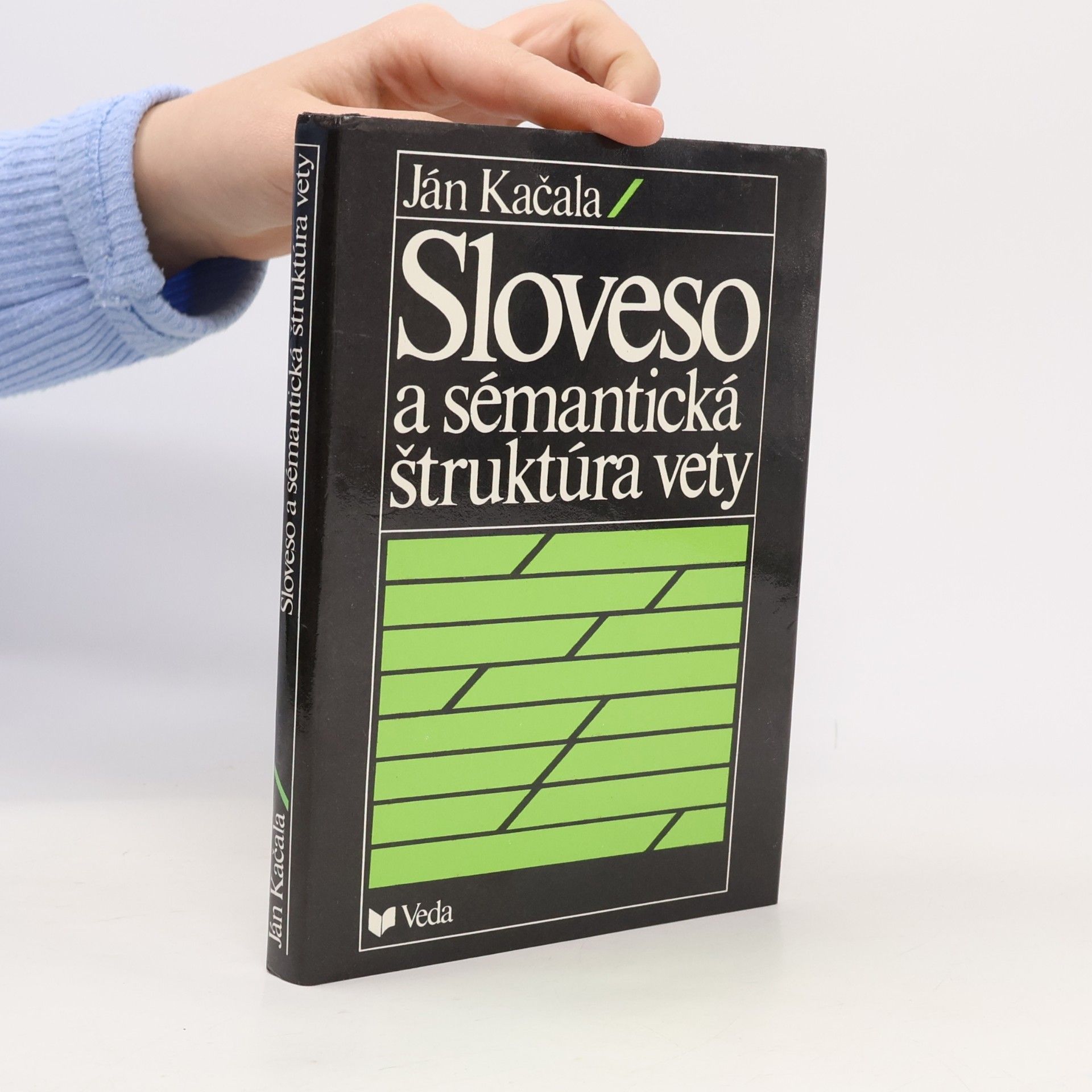 Sloveso a sémantická štruktúra vety