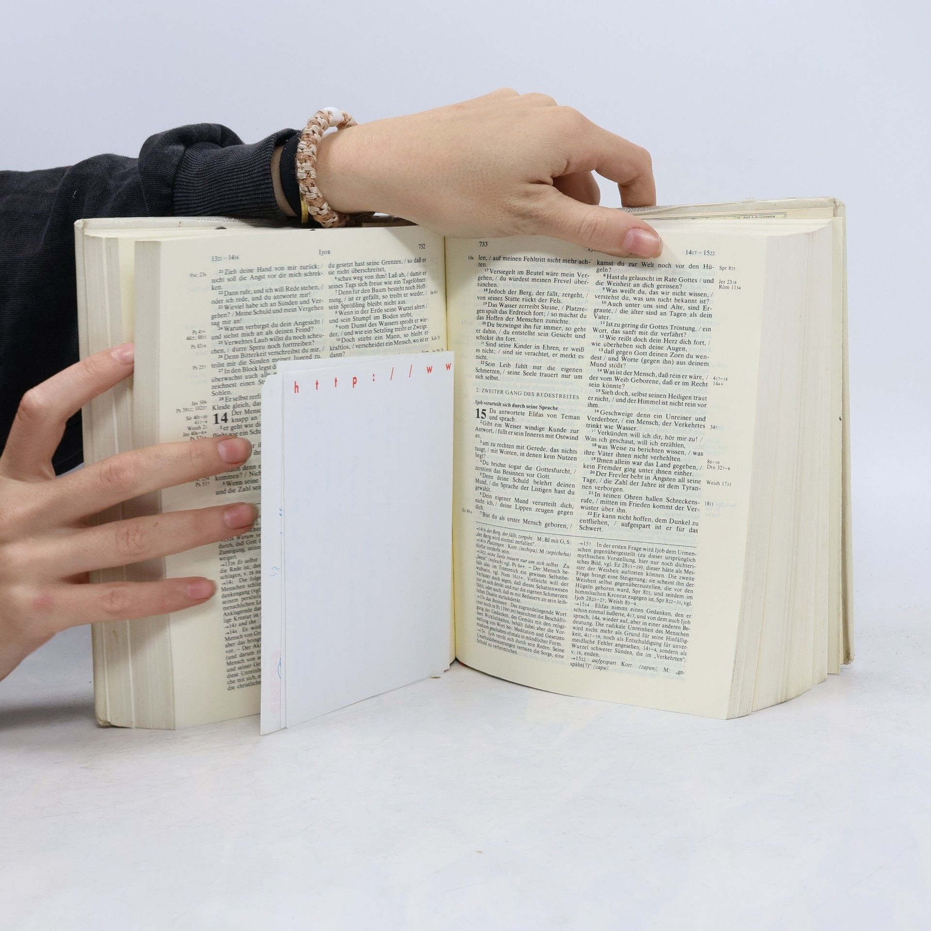 Auteurscollectief Neue Jerusalemer Bibel: Einheitrsetzung. Mit dem Kommentar der Jerusalemer Bibel
