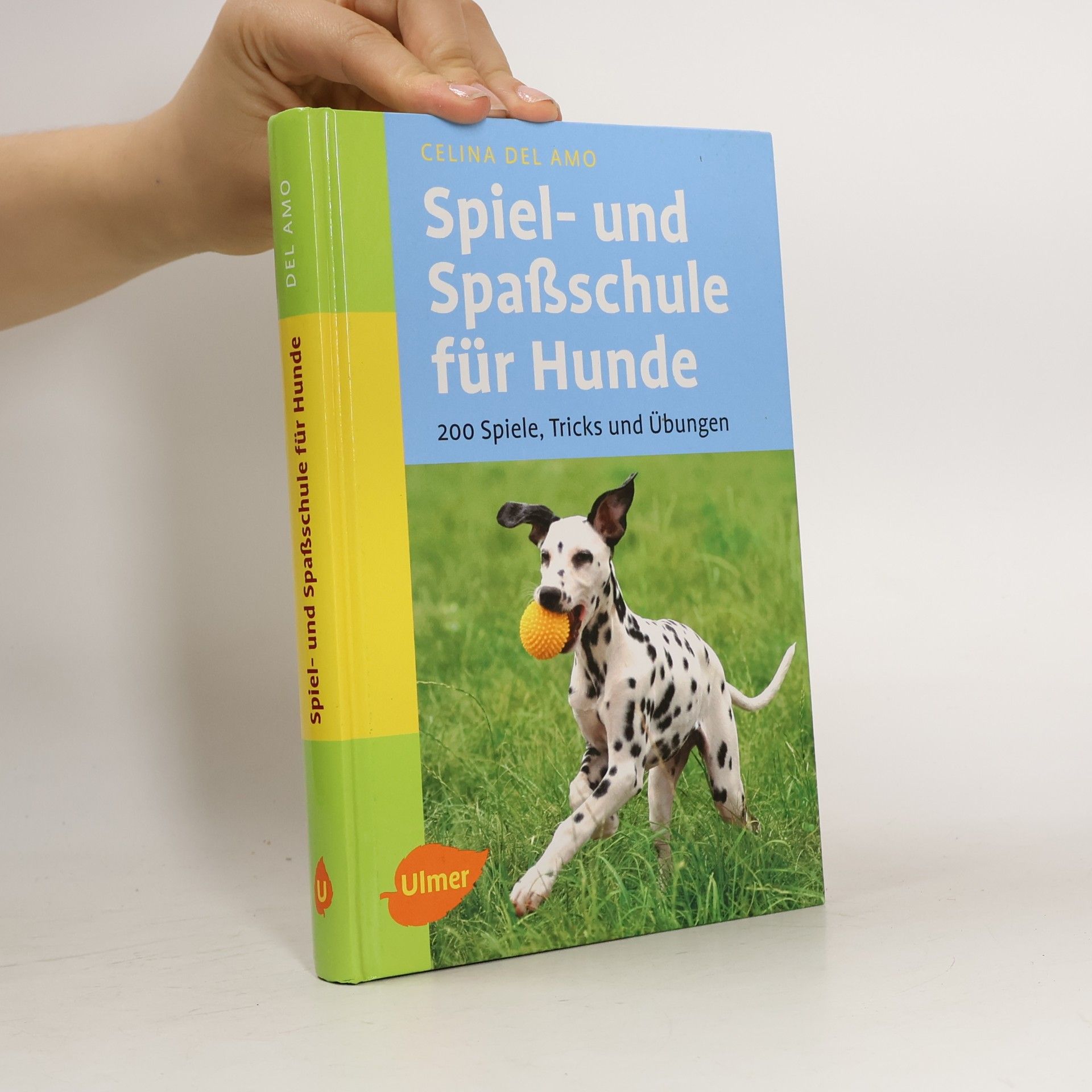 Spiel- und Spaßschule für Hunde