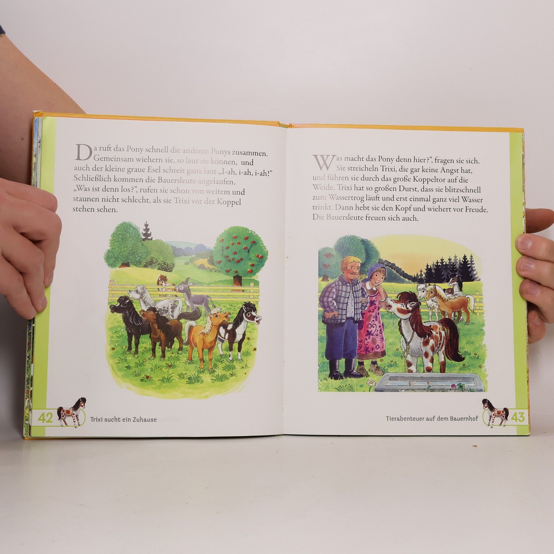 Anne Suess Mein großes Buch vom Bauernhof