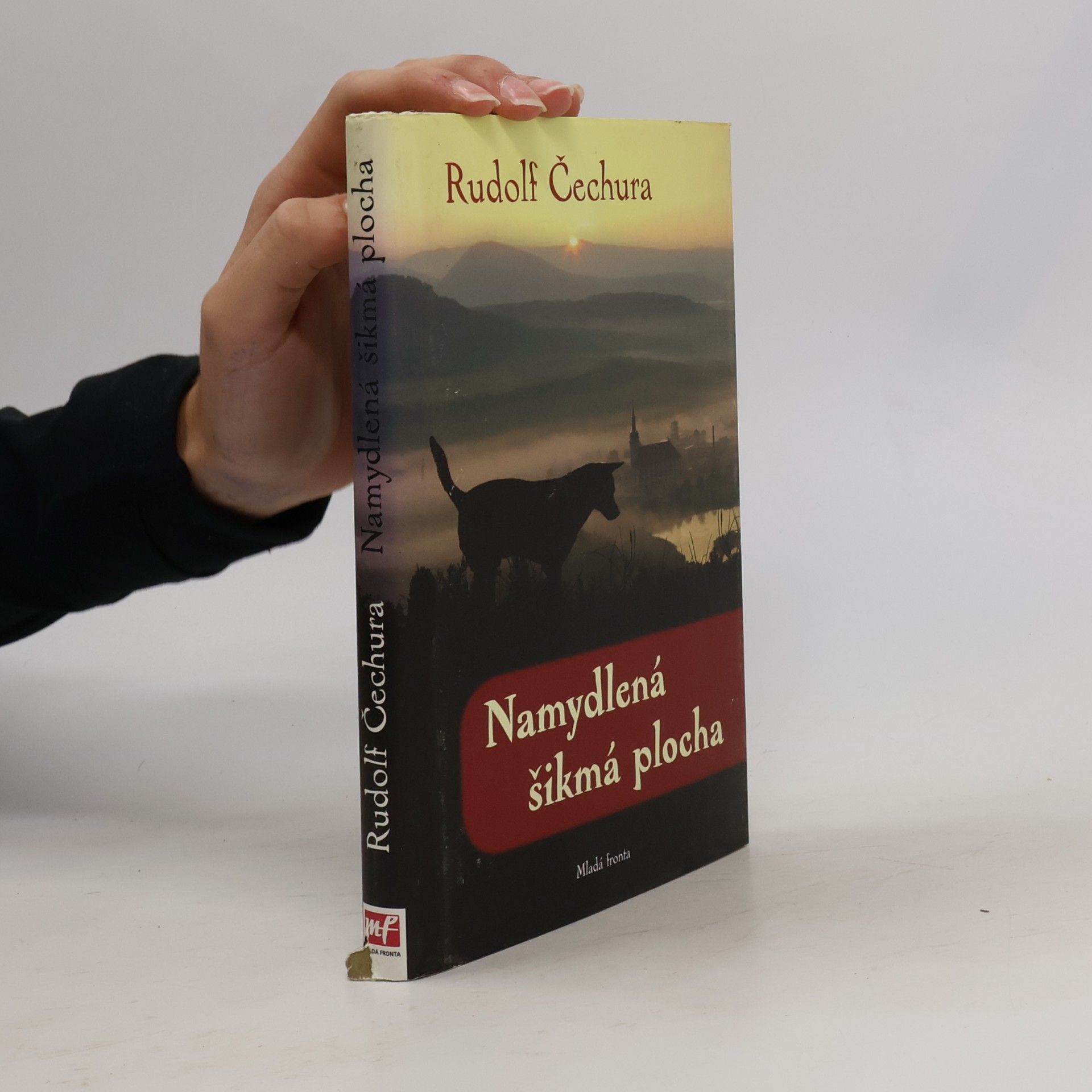 Namydlená šikmá plocha