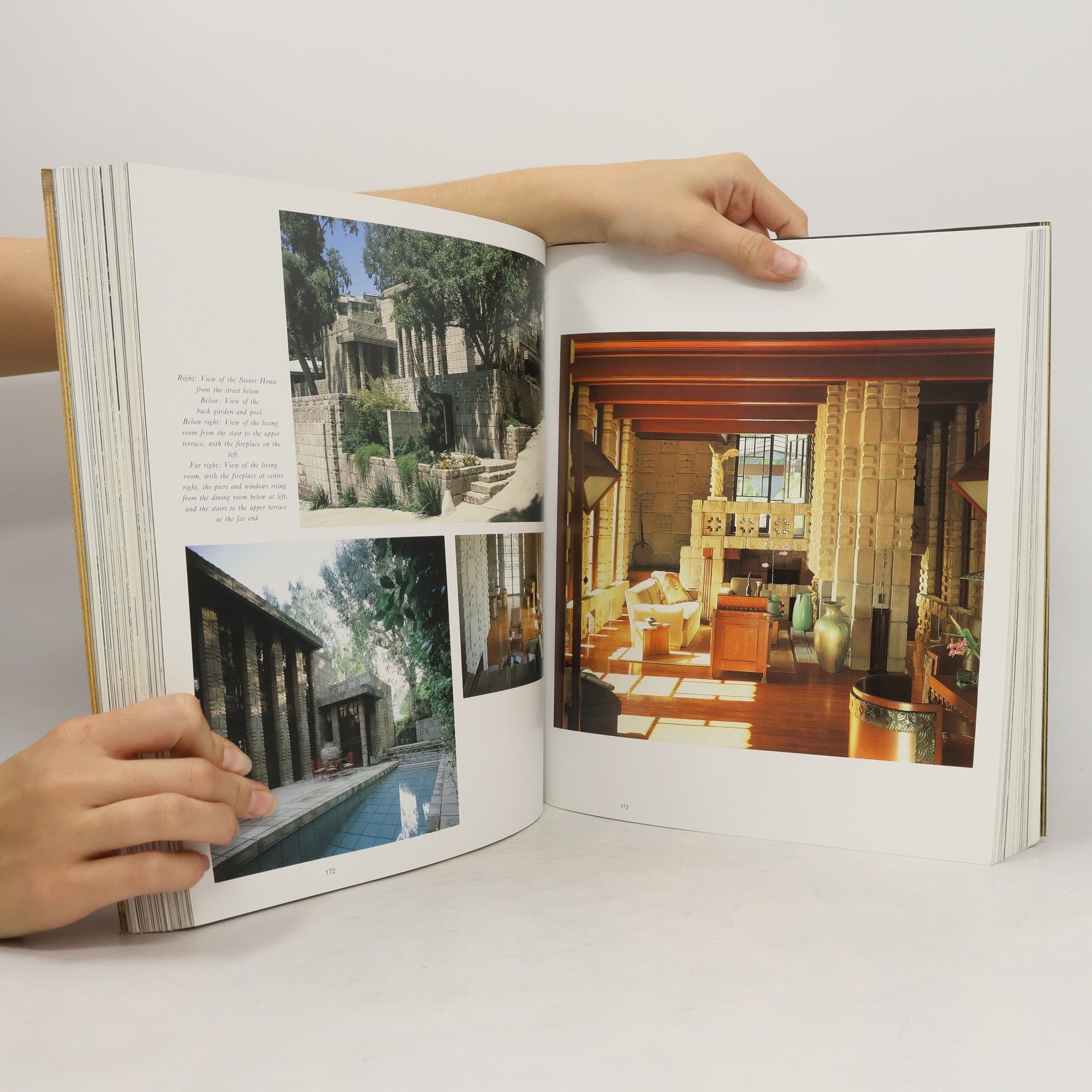 Robert McCarter Frank Lloyd Wright