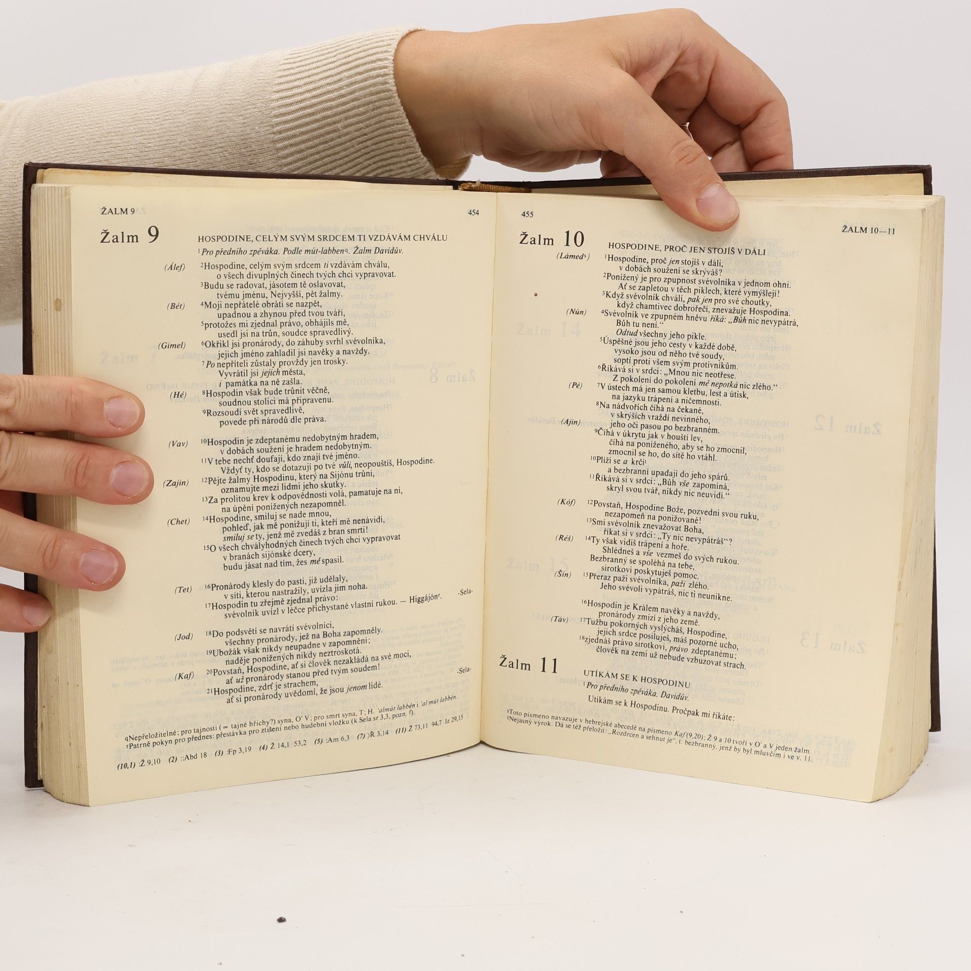 Autorenkollektiv Bible. Písmo svaté Starého a Nového Zákona. Ekumenický překlad