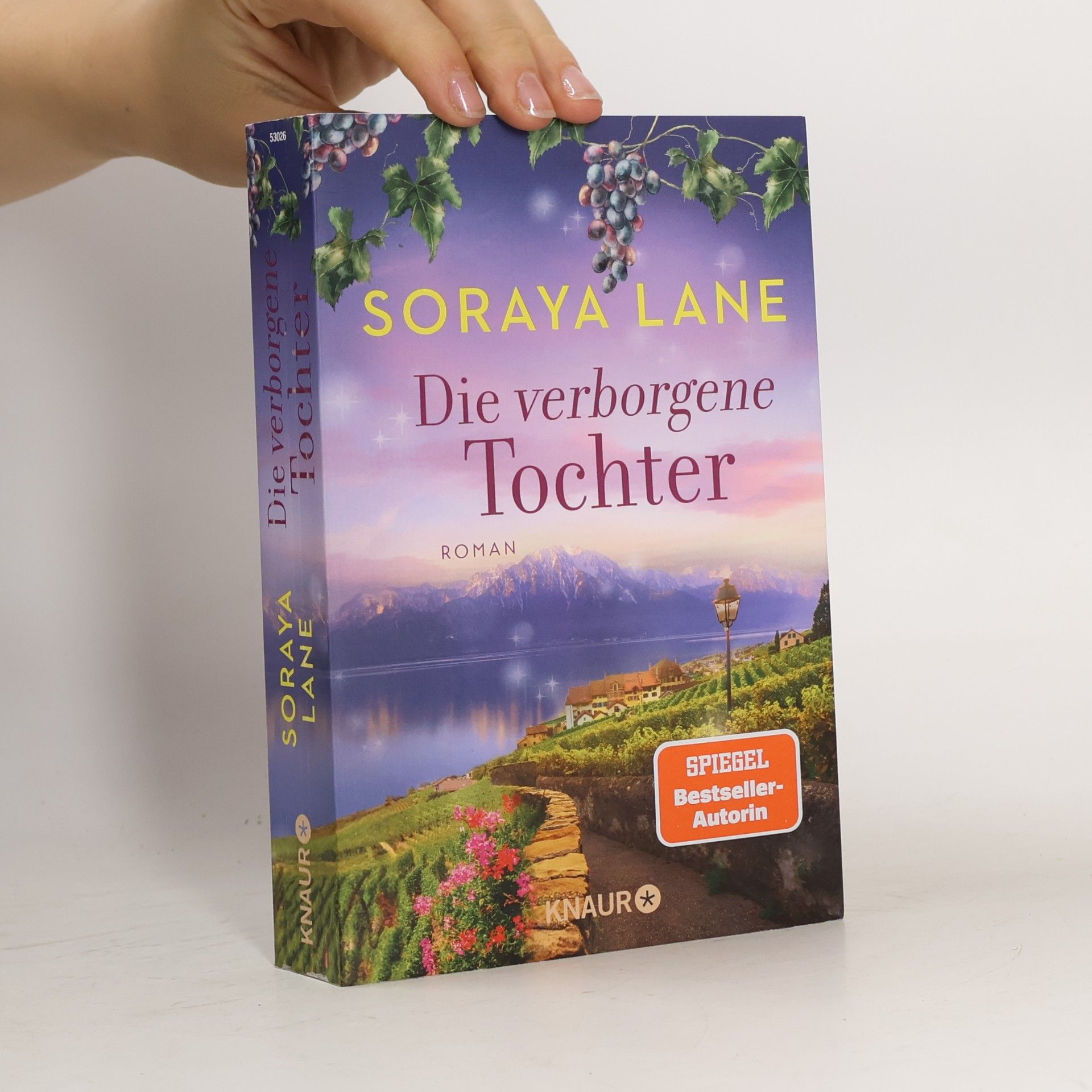 Die verborgene Tochter / Die verlorenen Töchter Bd.4