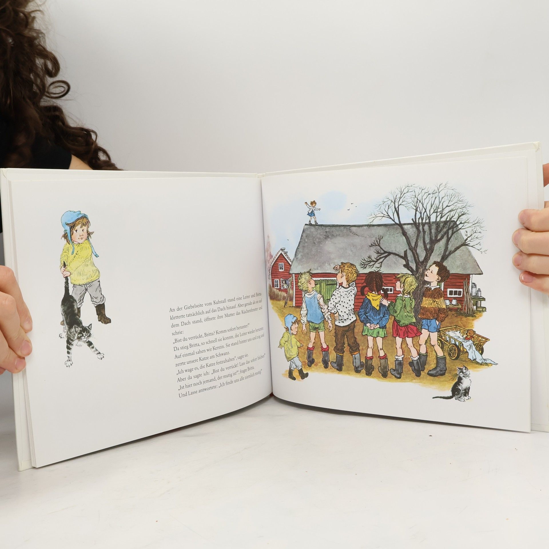 Astrid Lindgren Lustiges Bullerbü
