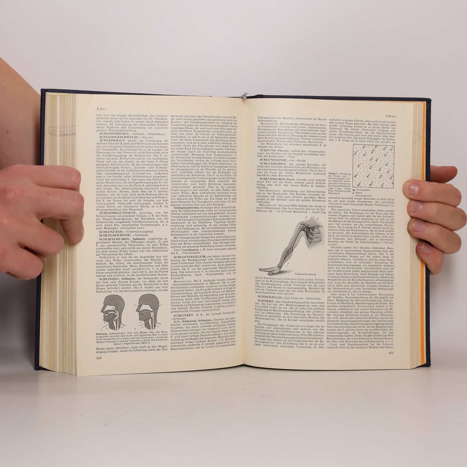 Autorenkollektiv Der Gesundheits Brockhaus