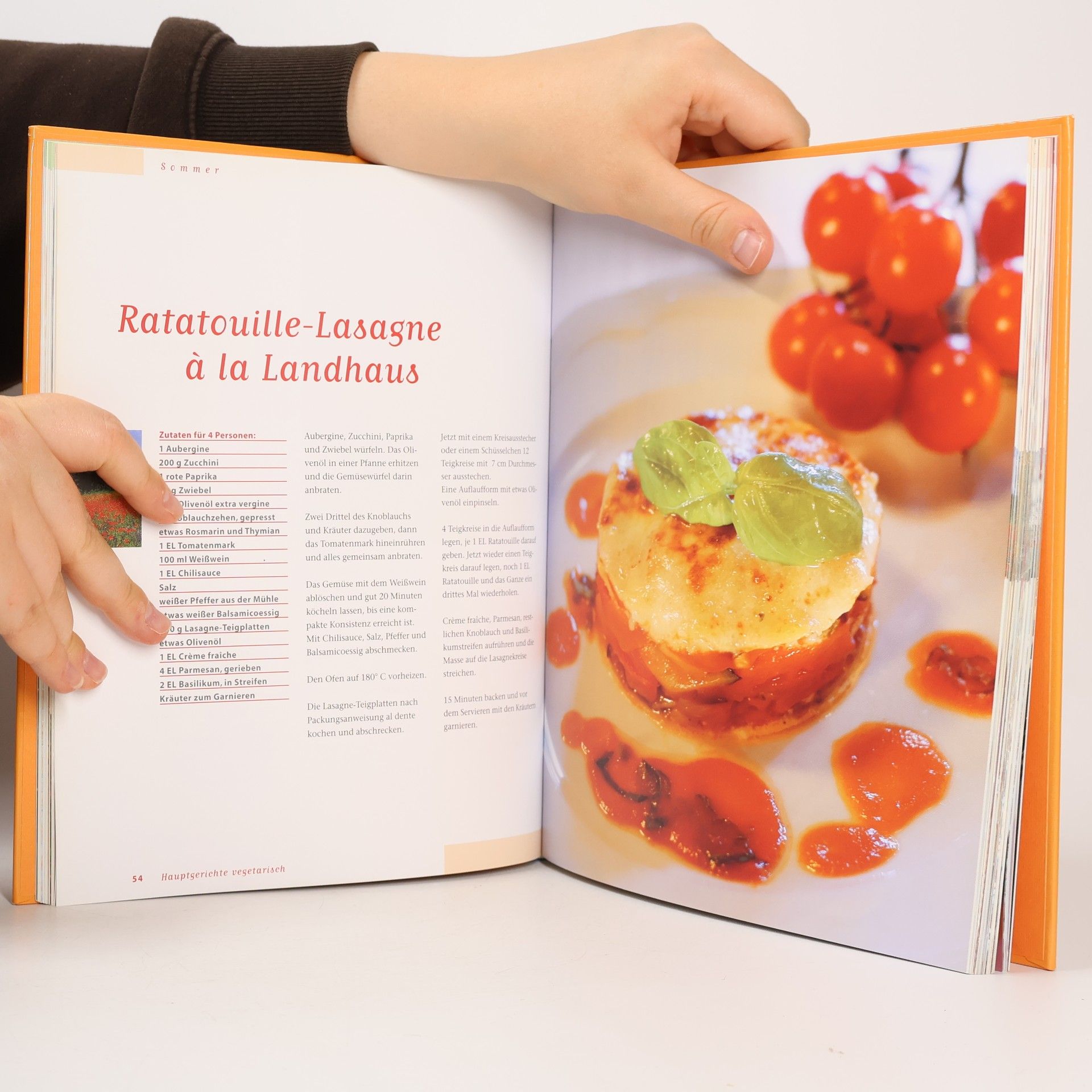 Christian Henze Henzes Jahreszeiten-Kochbuch