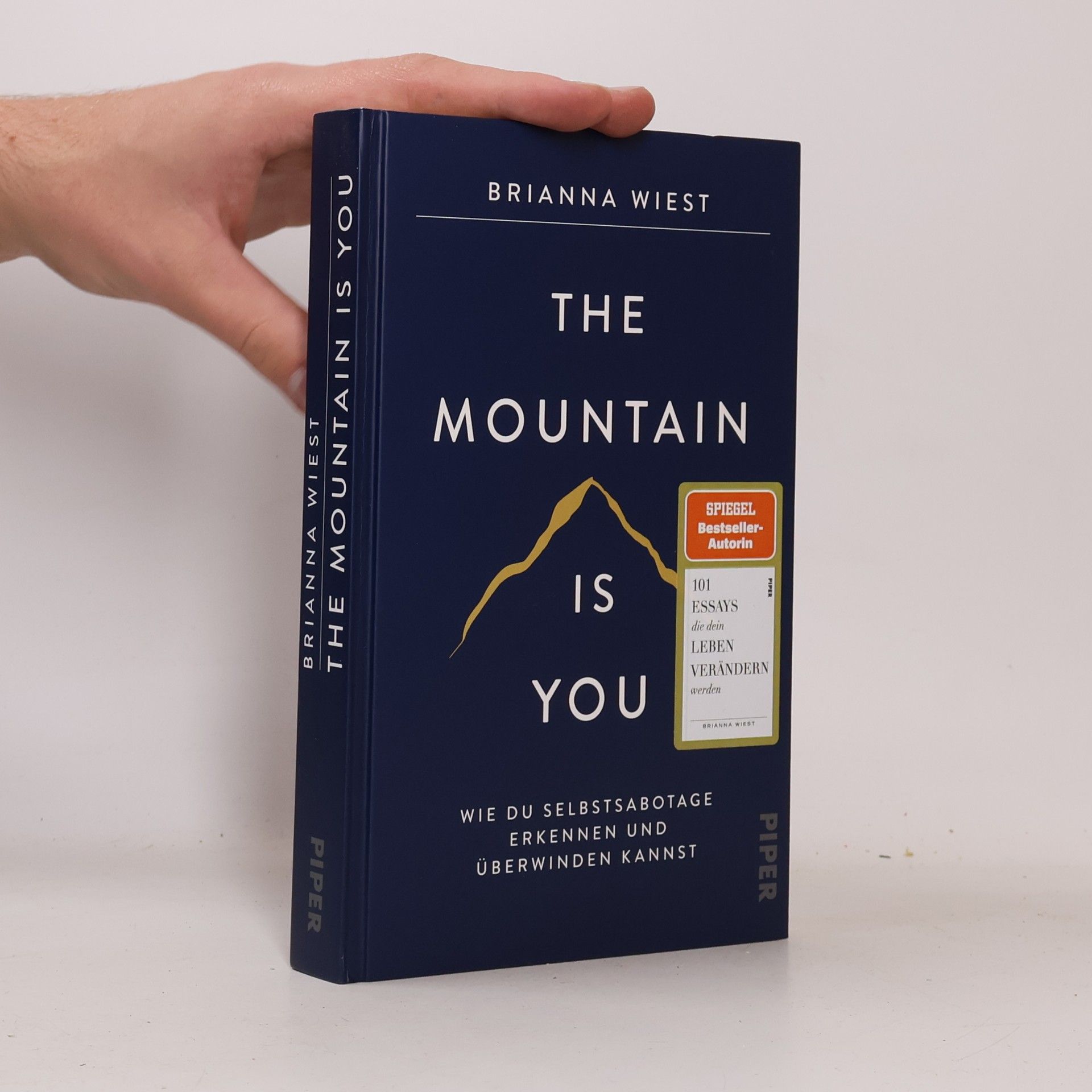 Brianna Wiest The Mountain Is You