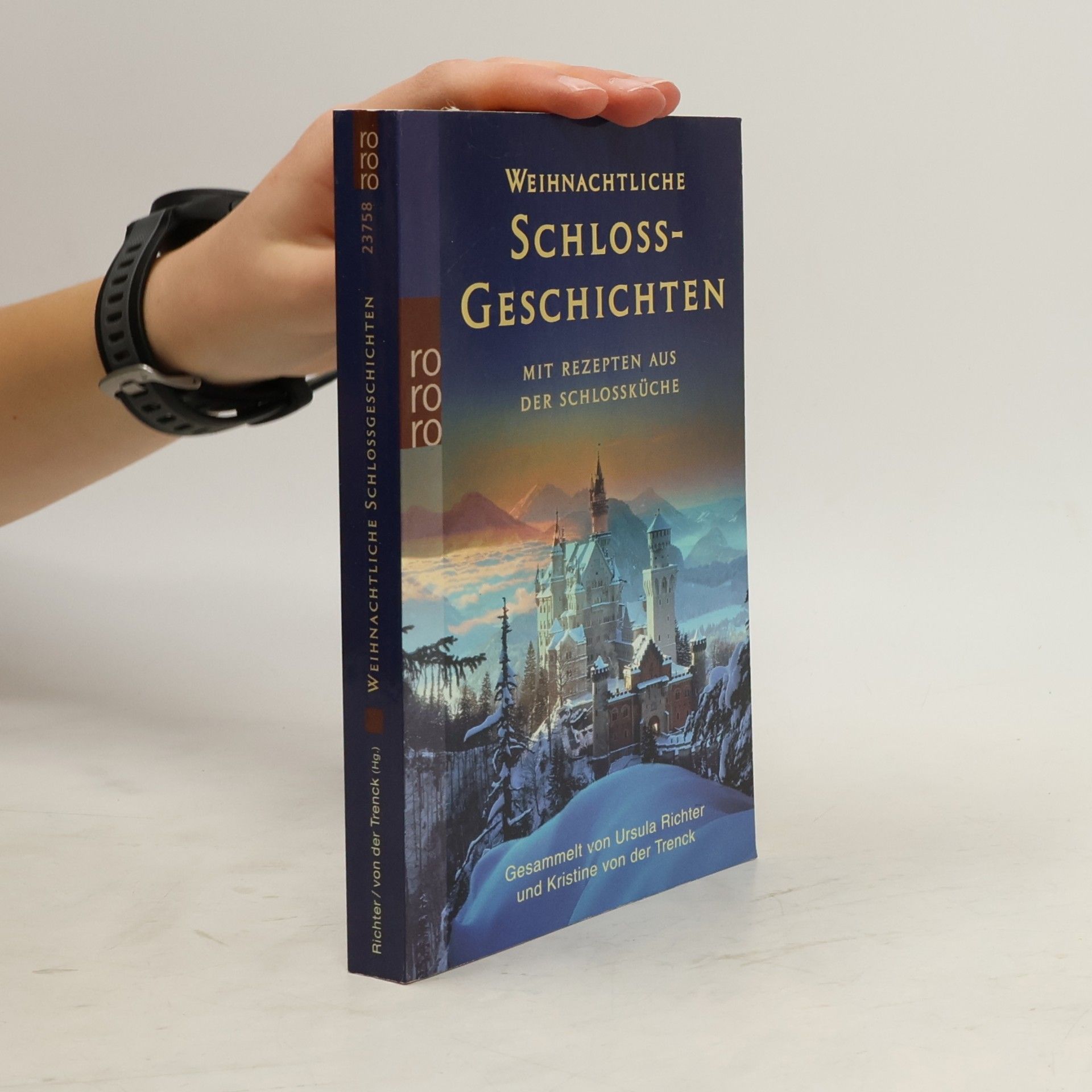 Weihnachtliche Schlossgeschichten