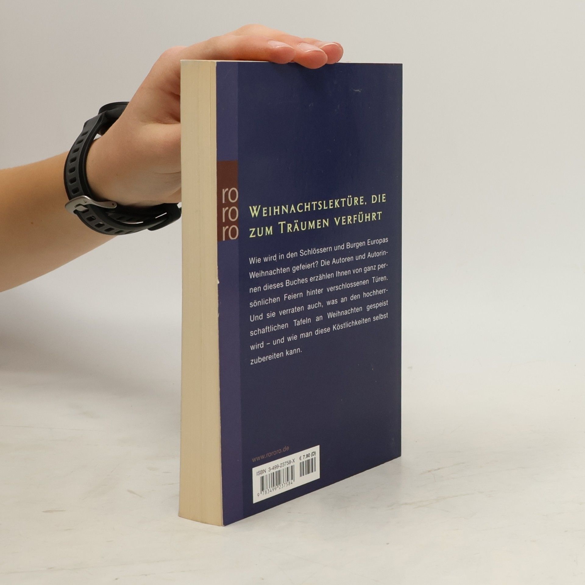 Ursula Richter Weihnachtliche Schlossgeschichten