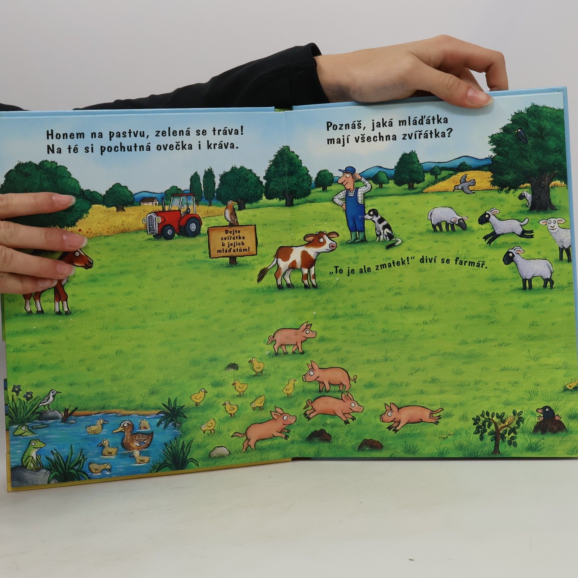 Axel Scheffler Hrajeme si s magnetky - Statek