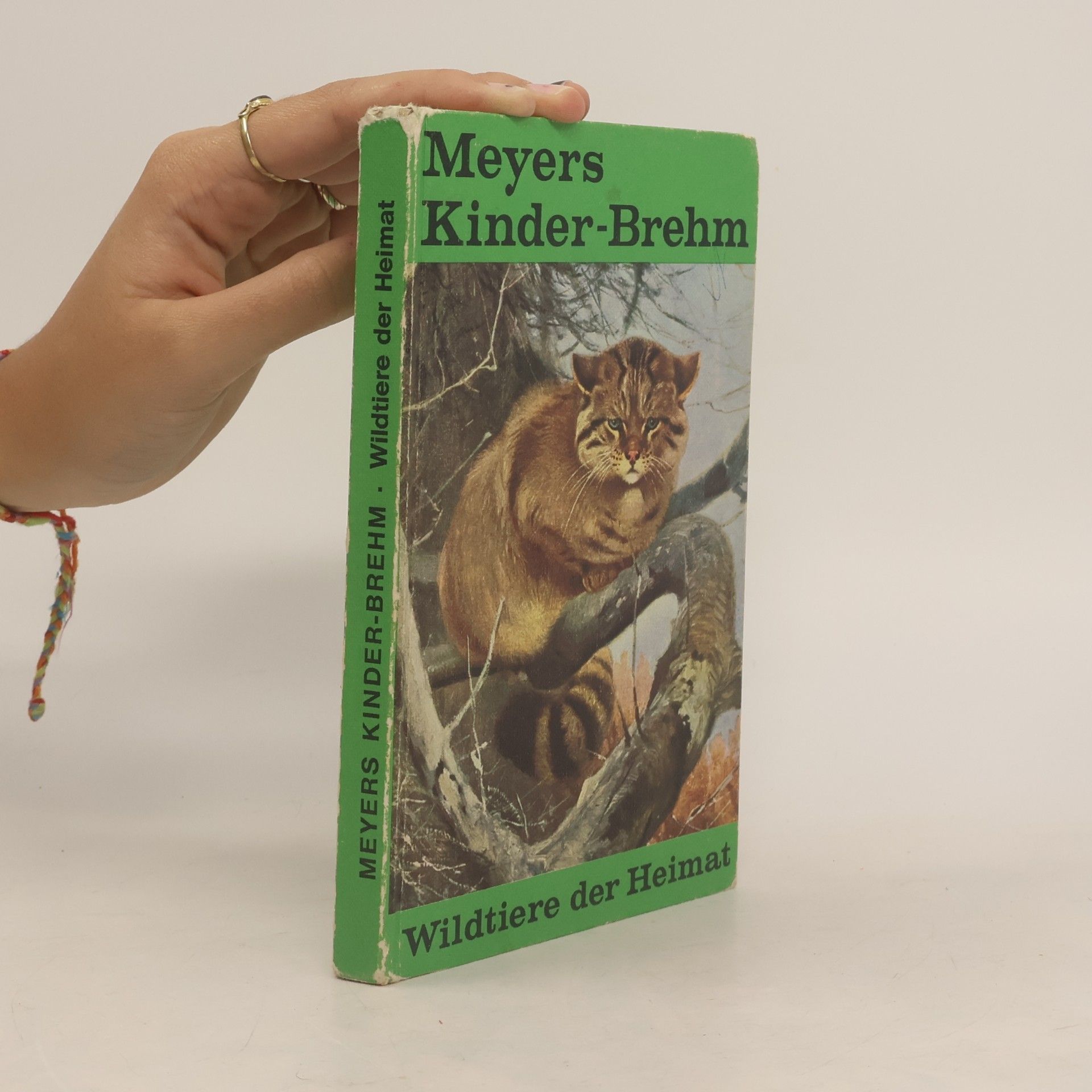 Auteurscollectief Meyers Kinder Brehm