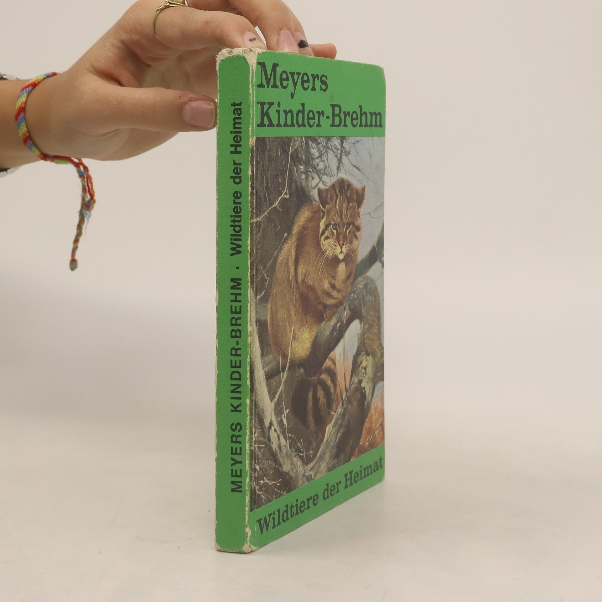 Auteurscollectief Meyers Kinder Brehm