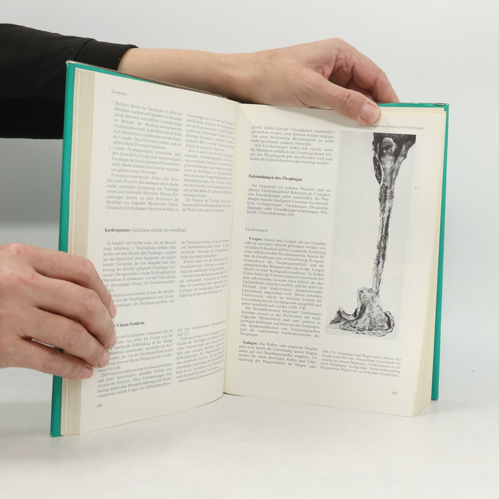 Various authors Spezielle Pathologie Band 1