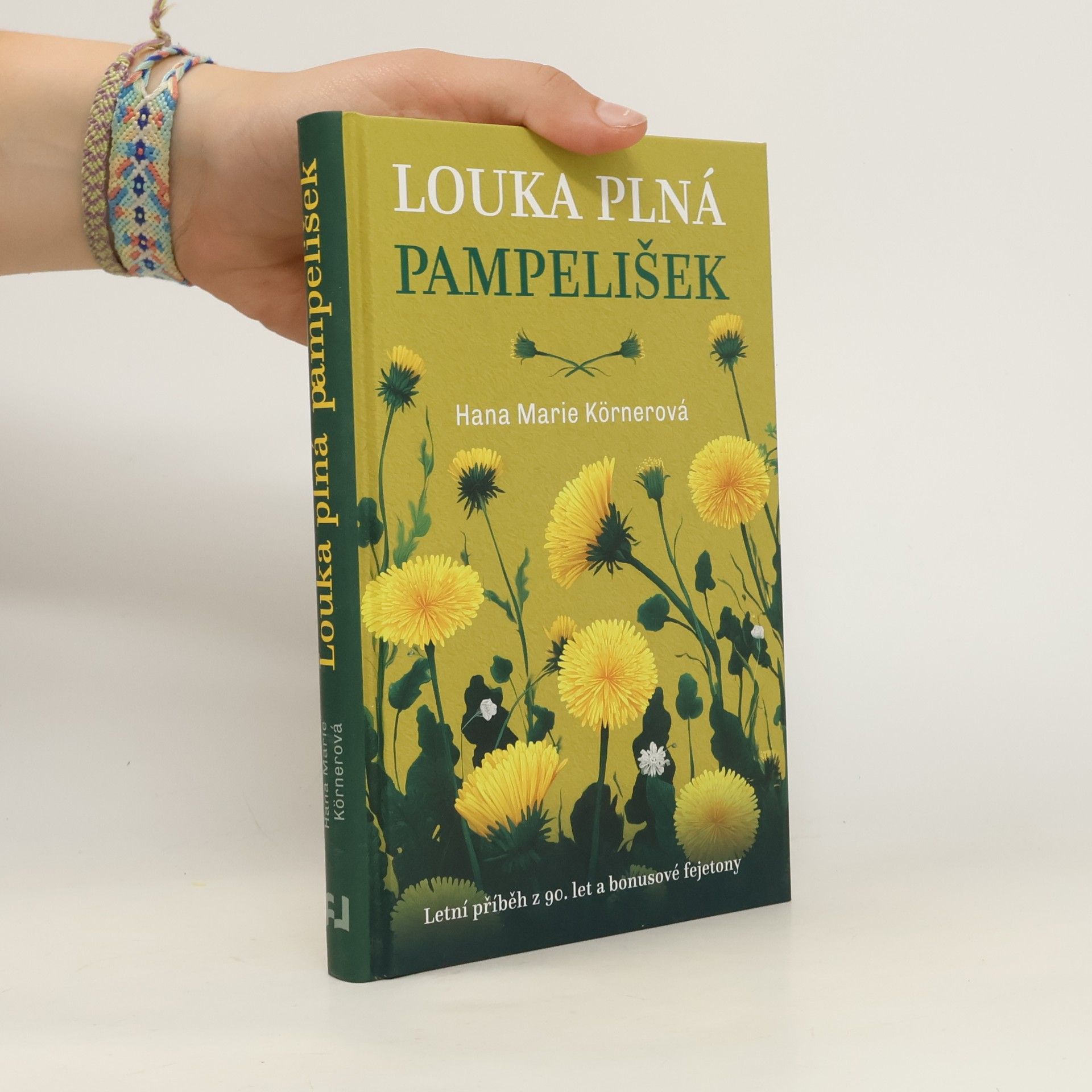 Louka plná pampelišek