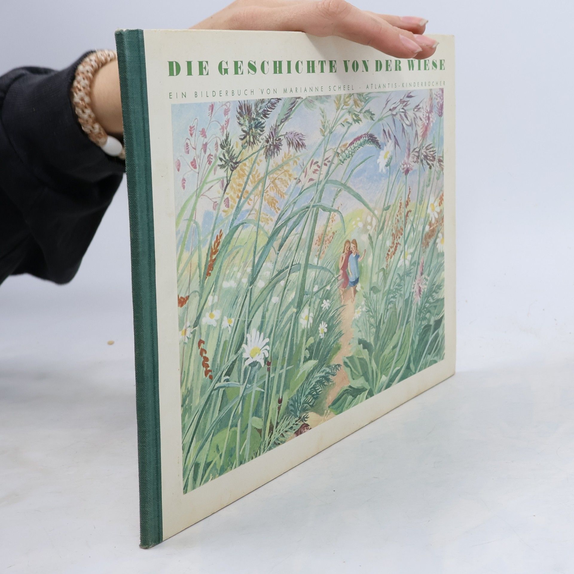 Die Geschichte von der Wiese