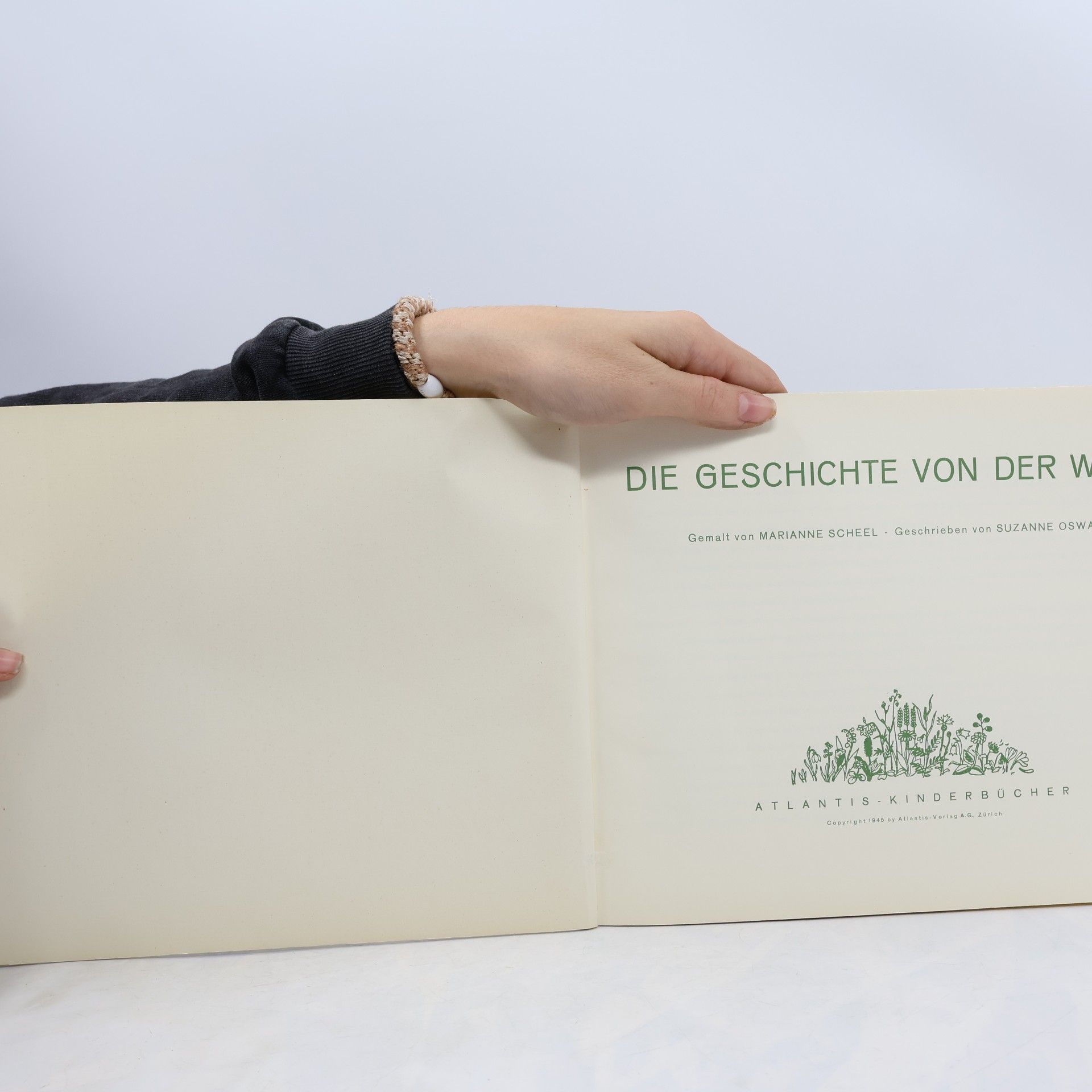 Marianne Scheel Die Geschichte von der Wiese