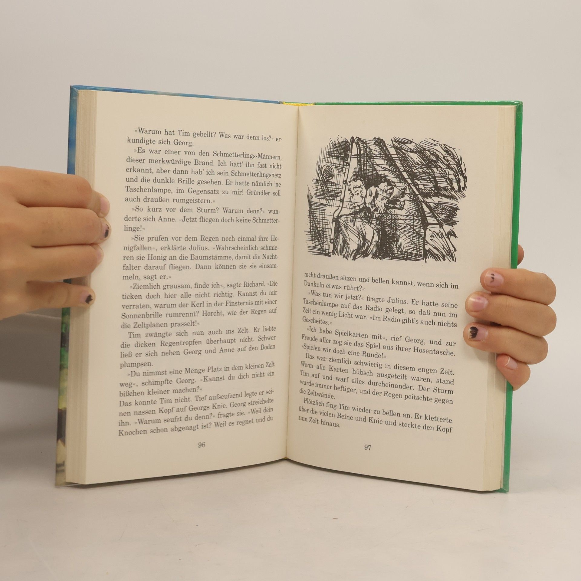 Enid Blyton Fünf Freunde
