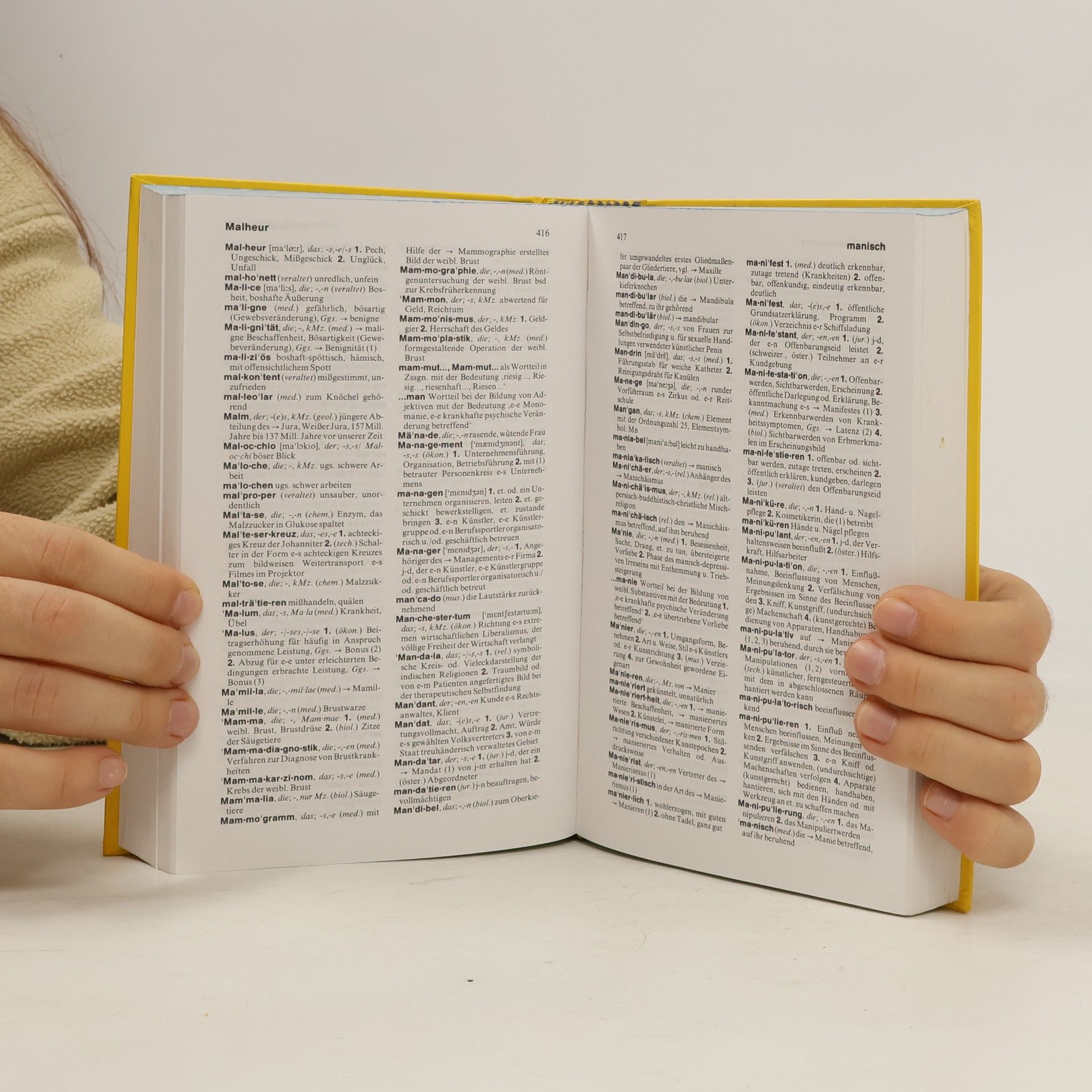Friedhelm Hübner Langenscheidts Fremdwörterbuch