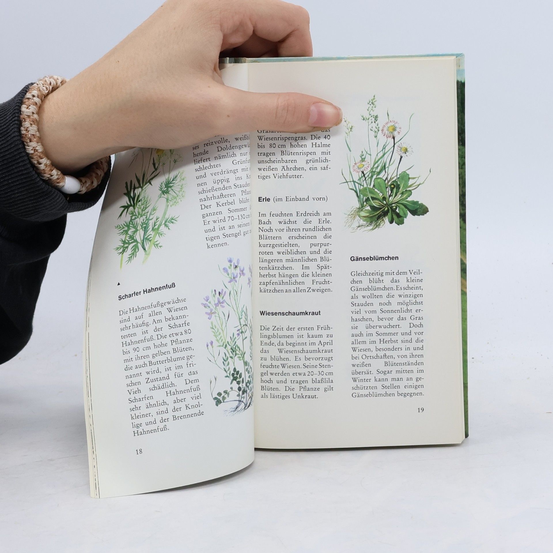 Various authors Kleine Reiseführer für Naturfreunde