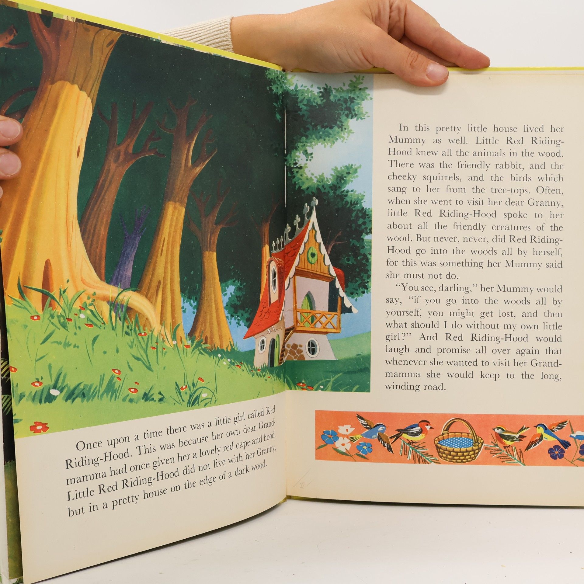 Autorenkollektiv My Book of Little Red Riding Hood