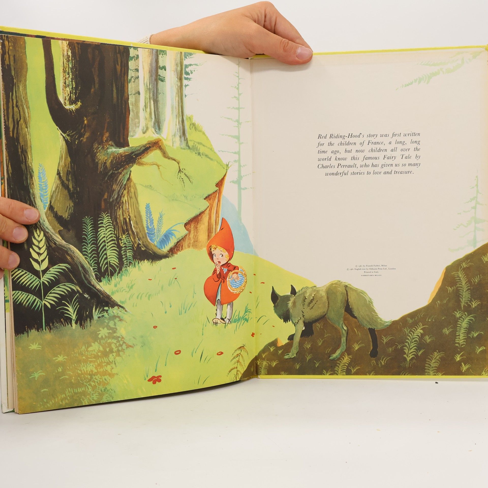 Autorenkollektiv My Book of Little Red Riding Hood