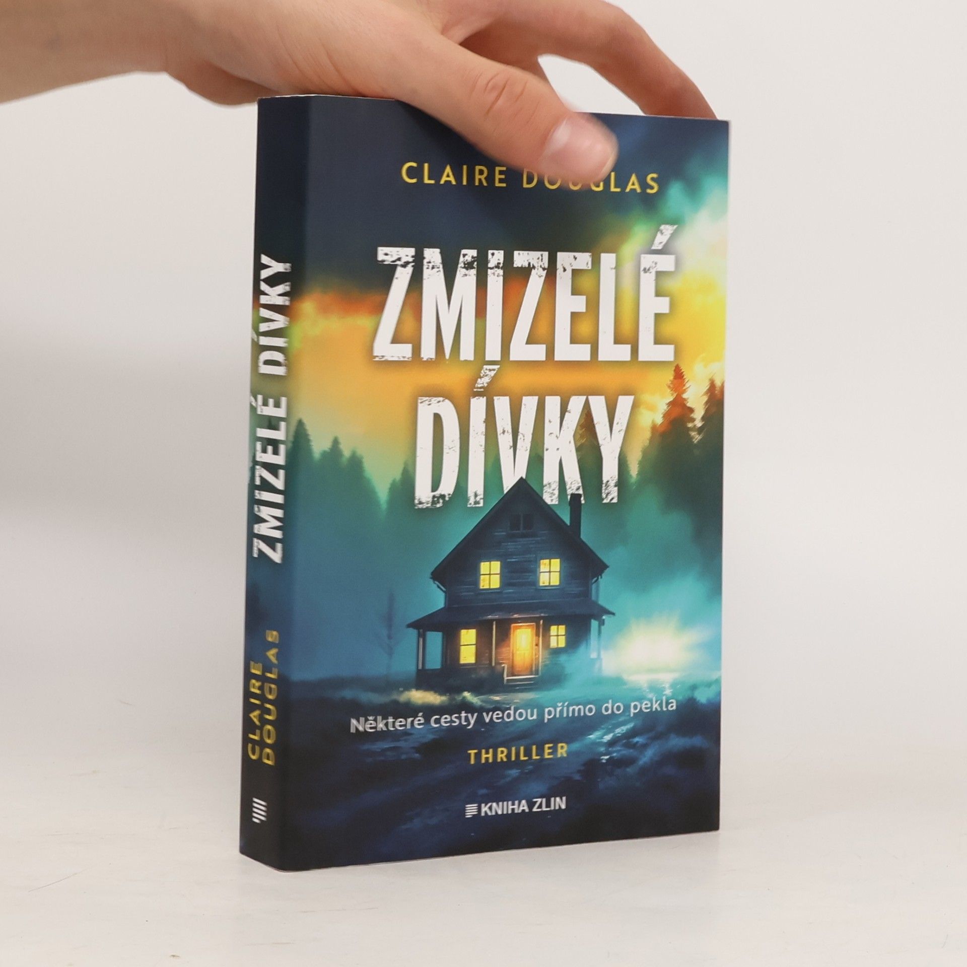 Zmizelé dívky