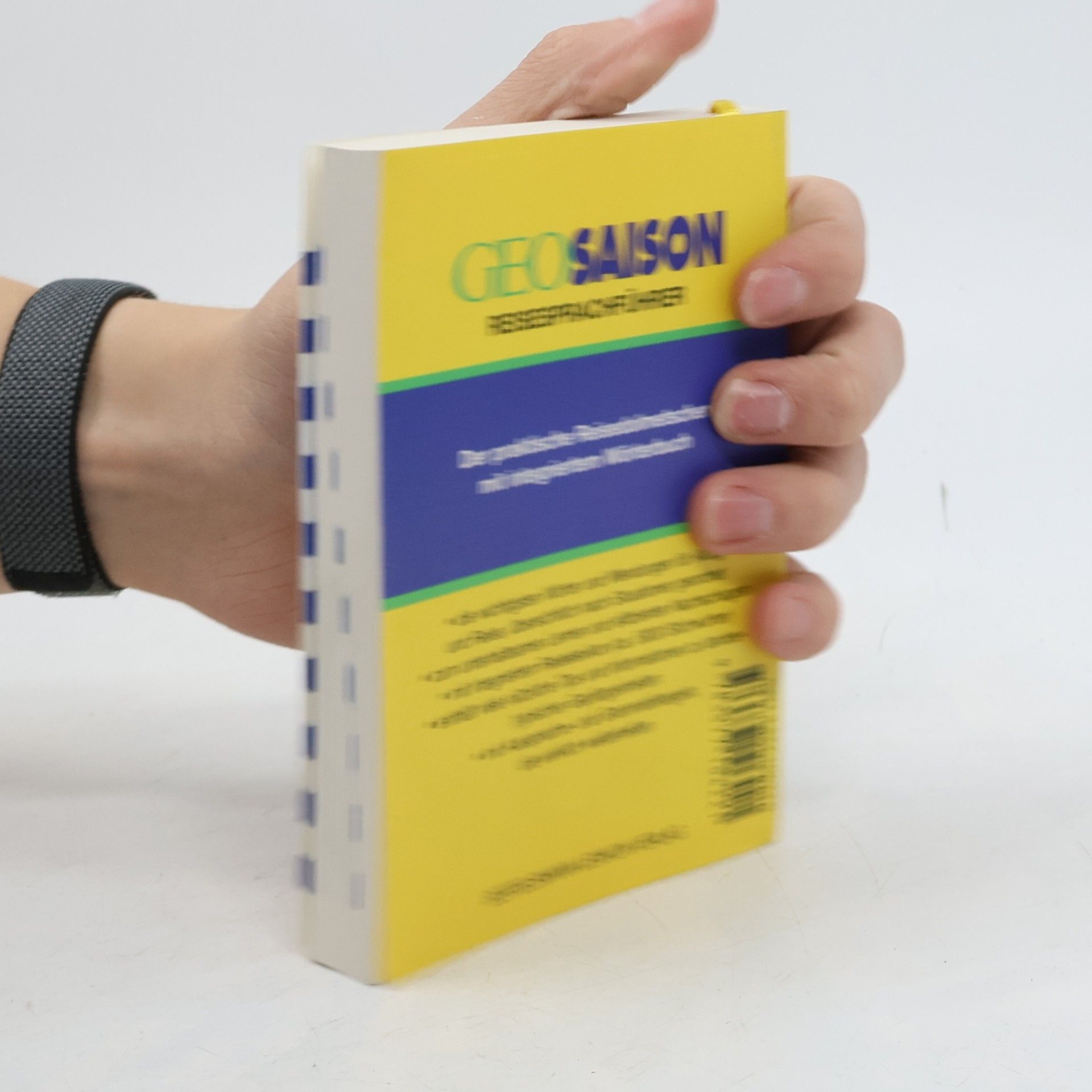 Heinz Lechleiter Geo Saison Reisesprachführer. Englisch