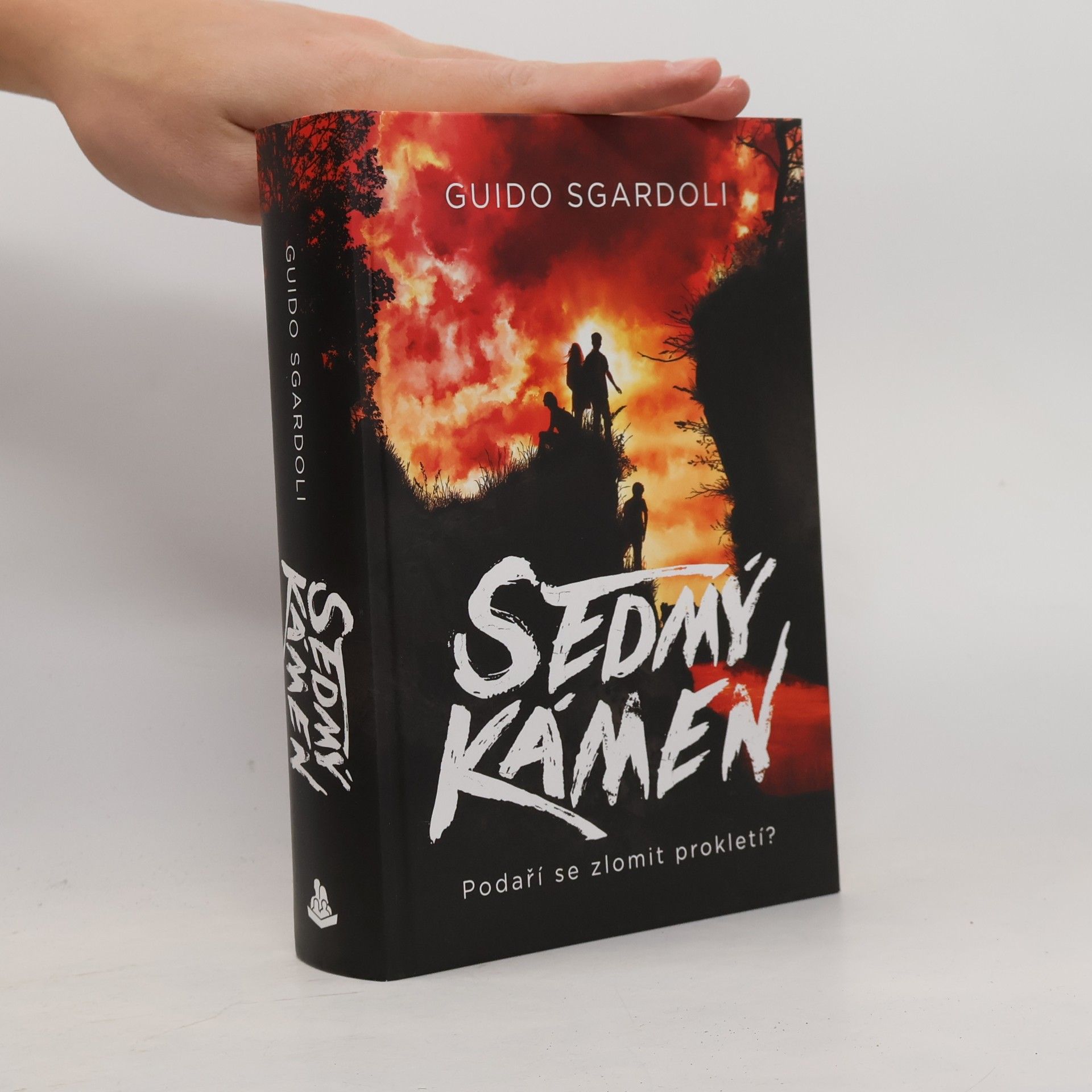 Guido Sgardoli Sedmý kámen