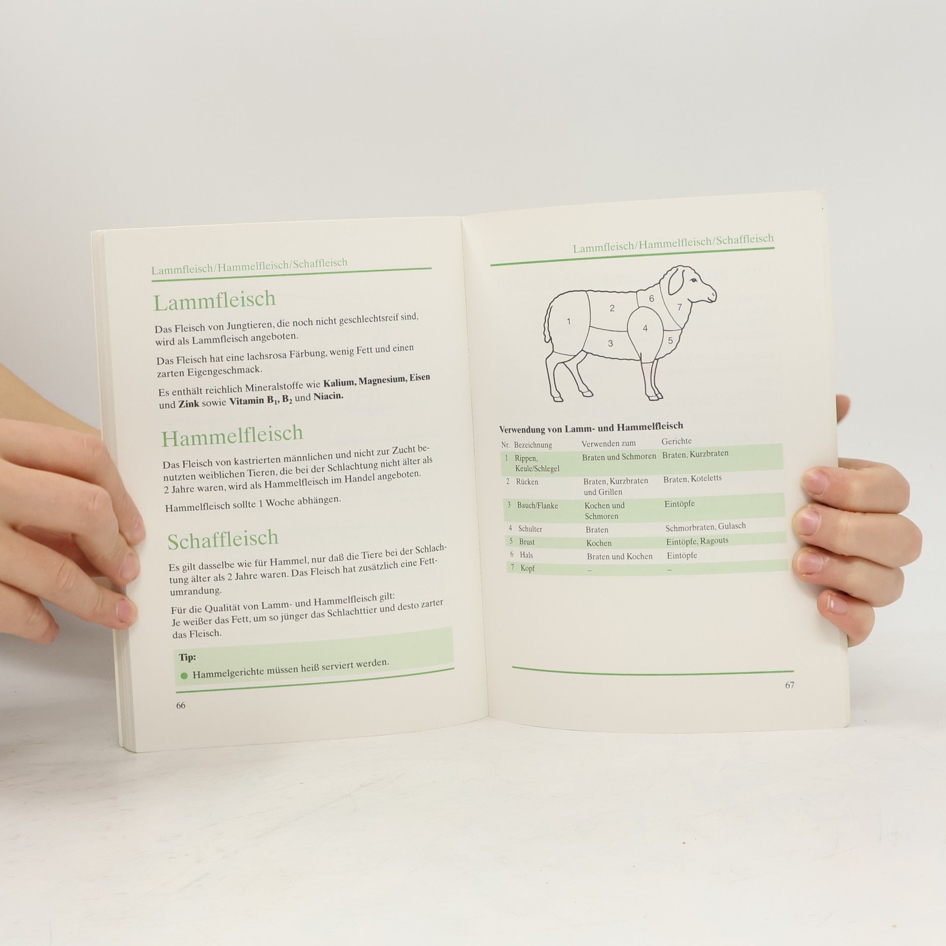 Various authors Ernährungsratgeber - Kalorien/Nährwerte