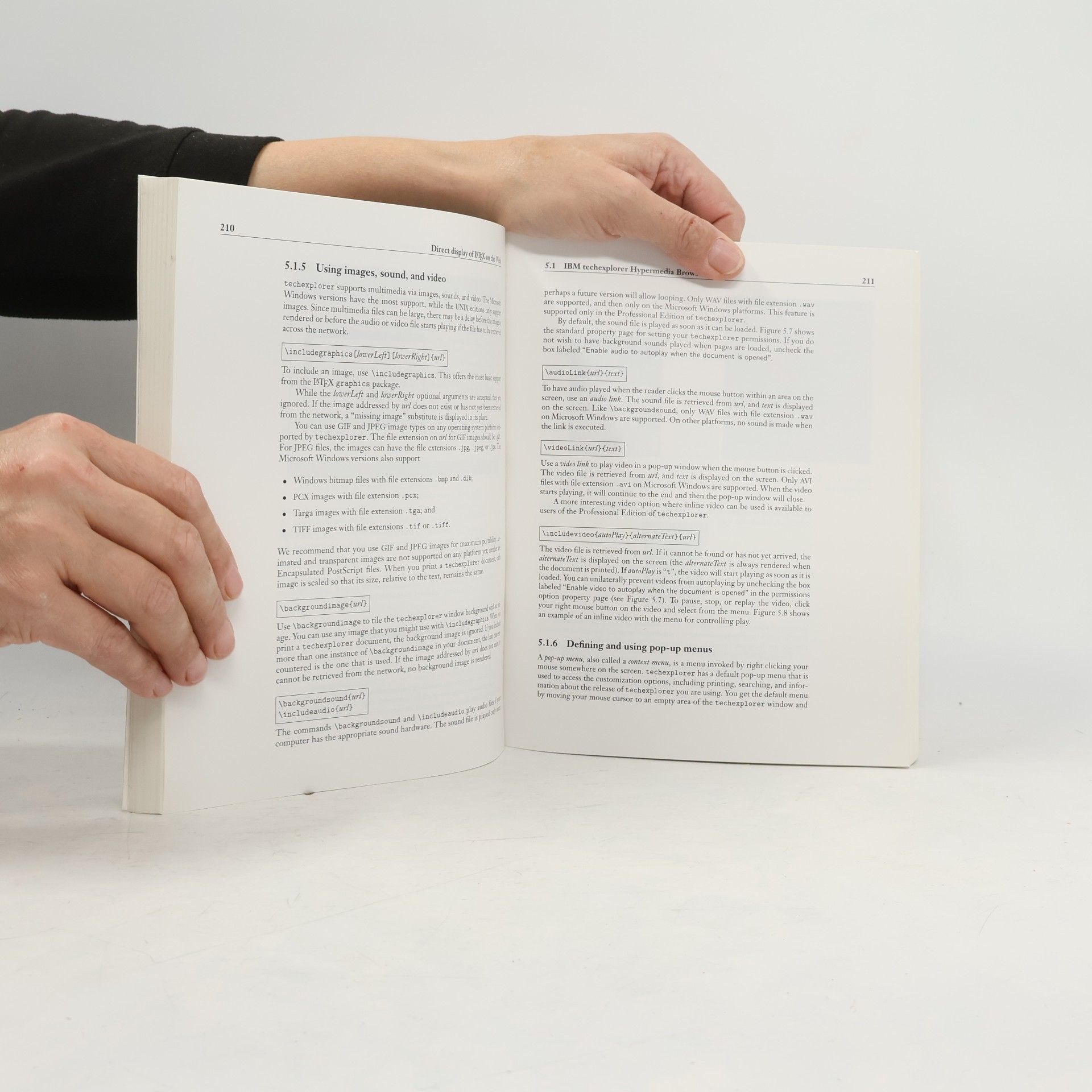 Michel Goossens The LaTeX Web Companion
