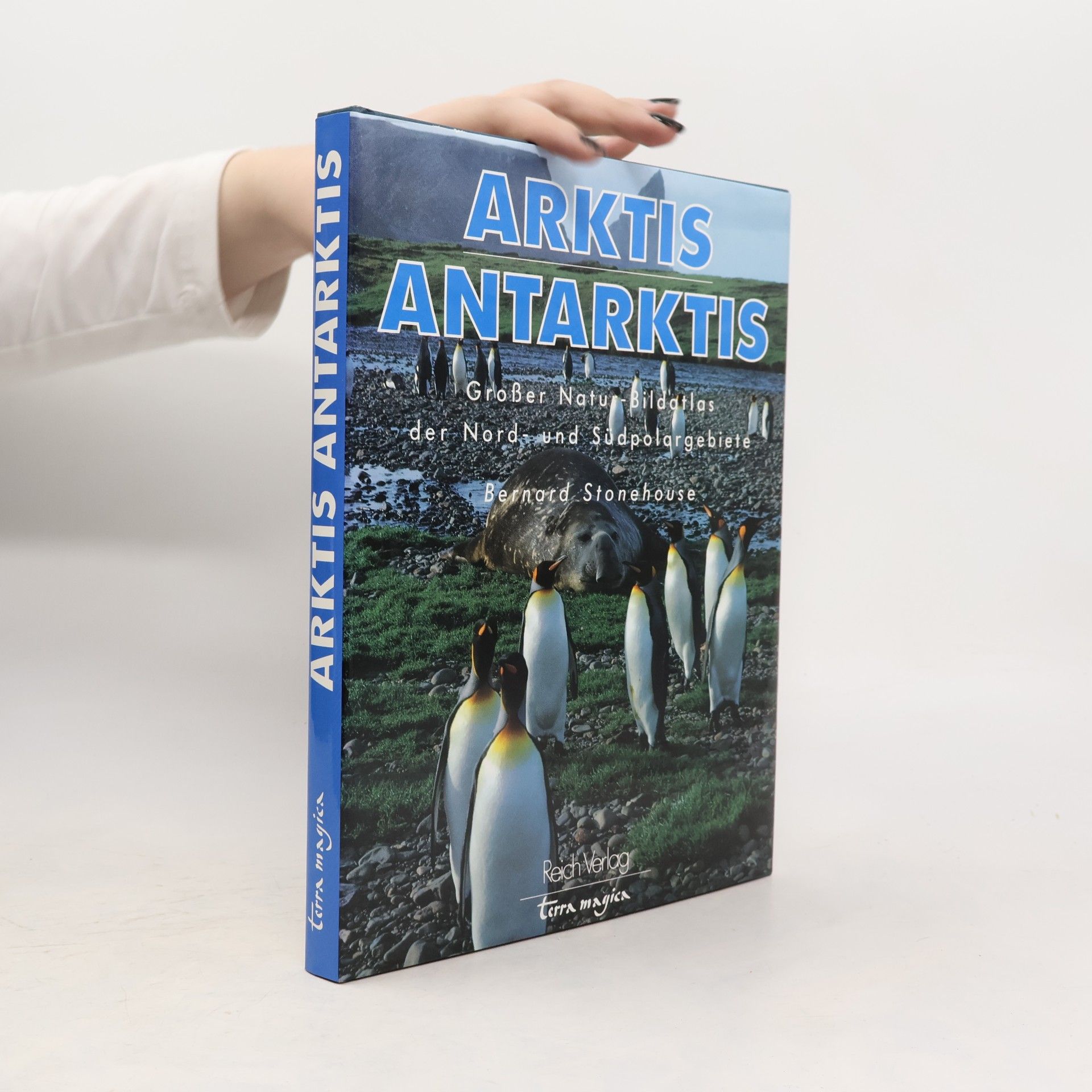 Arktis, Antarktis