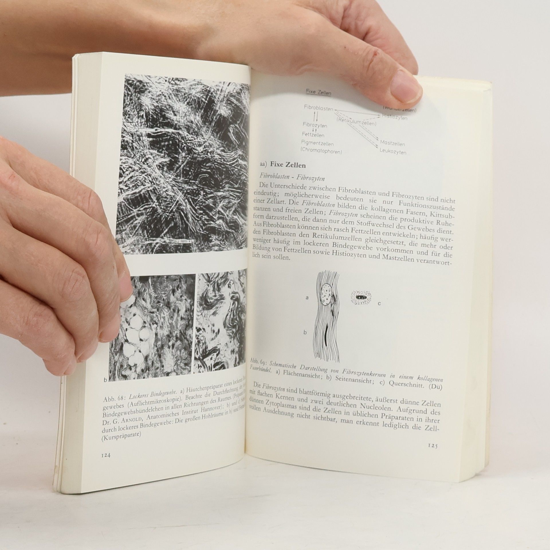 Heinz von Mayersbach Allgemeine Histologie