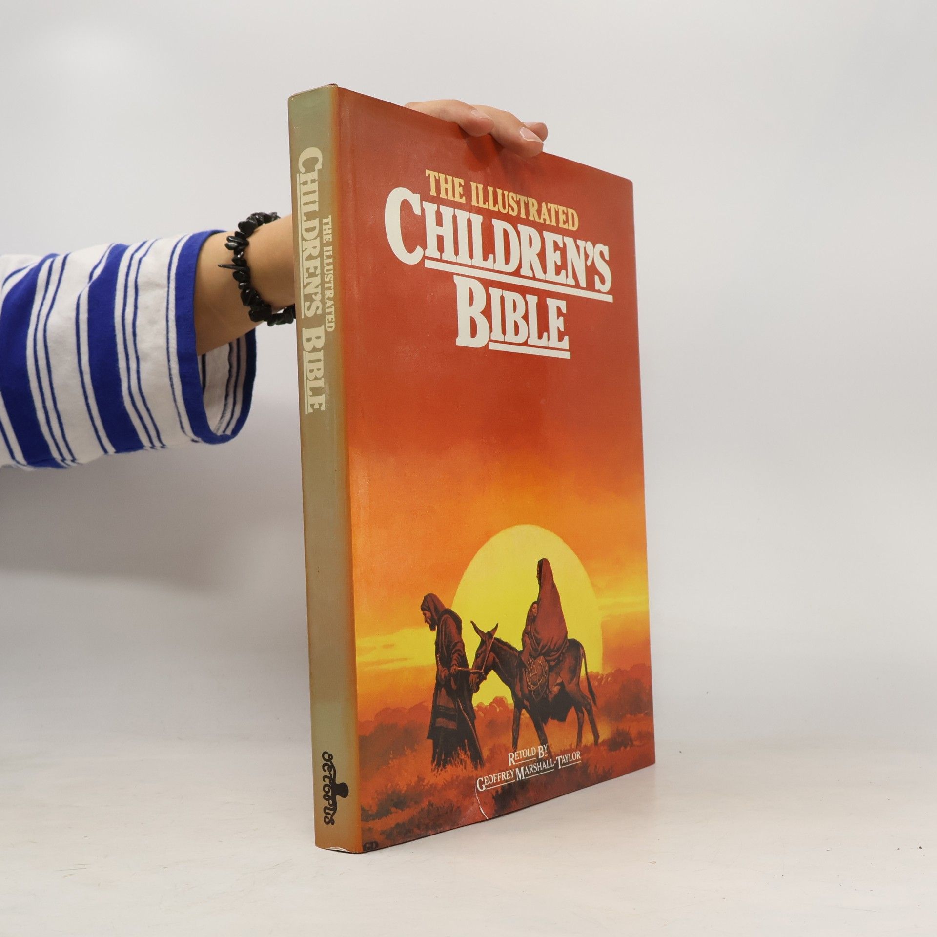Kolektiv autorů The Illustrated Children's Bible