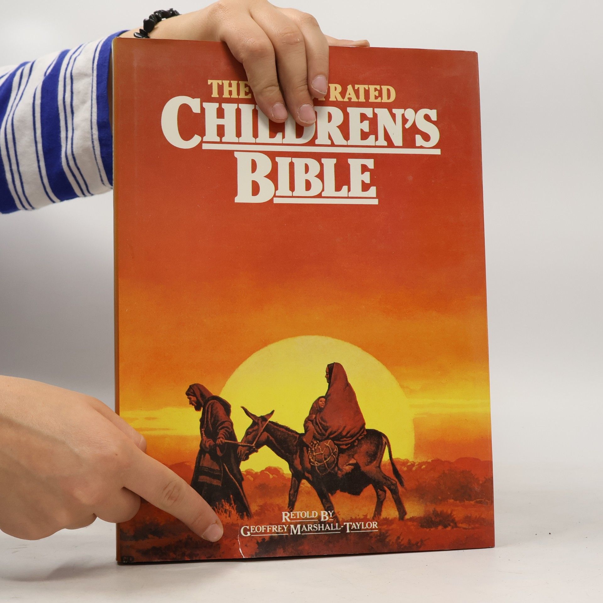 Kolektiv autorů The Illustrated Children's Bible