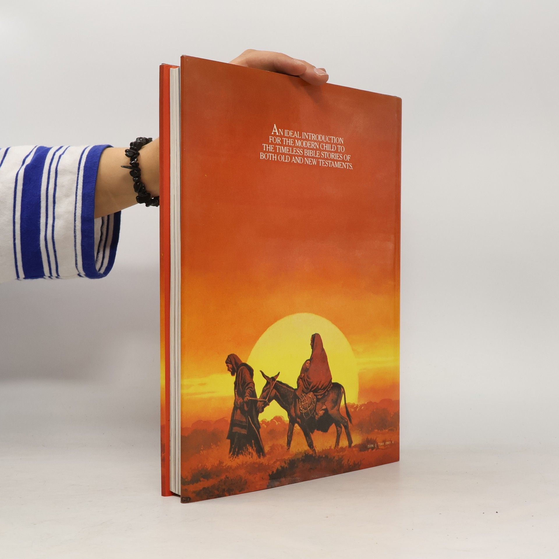 Kolektiv autorů The Illustrated Children's Bible