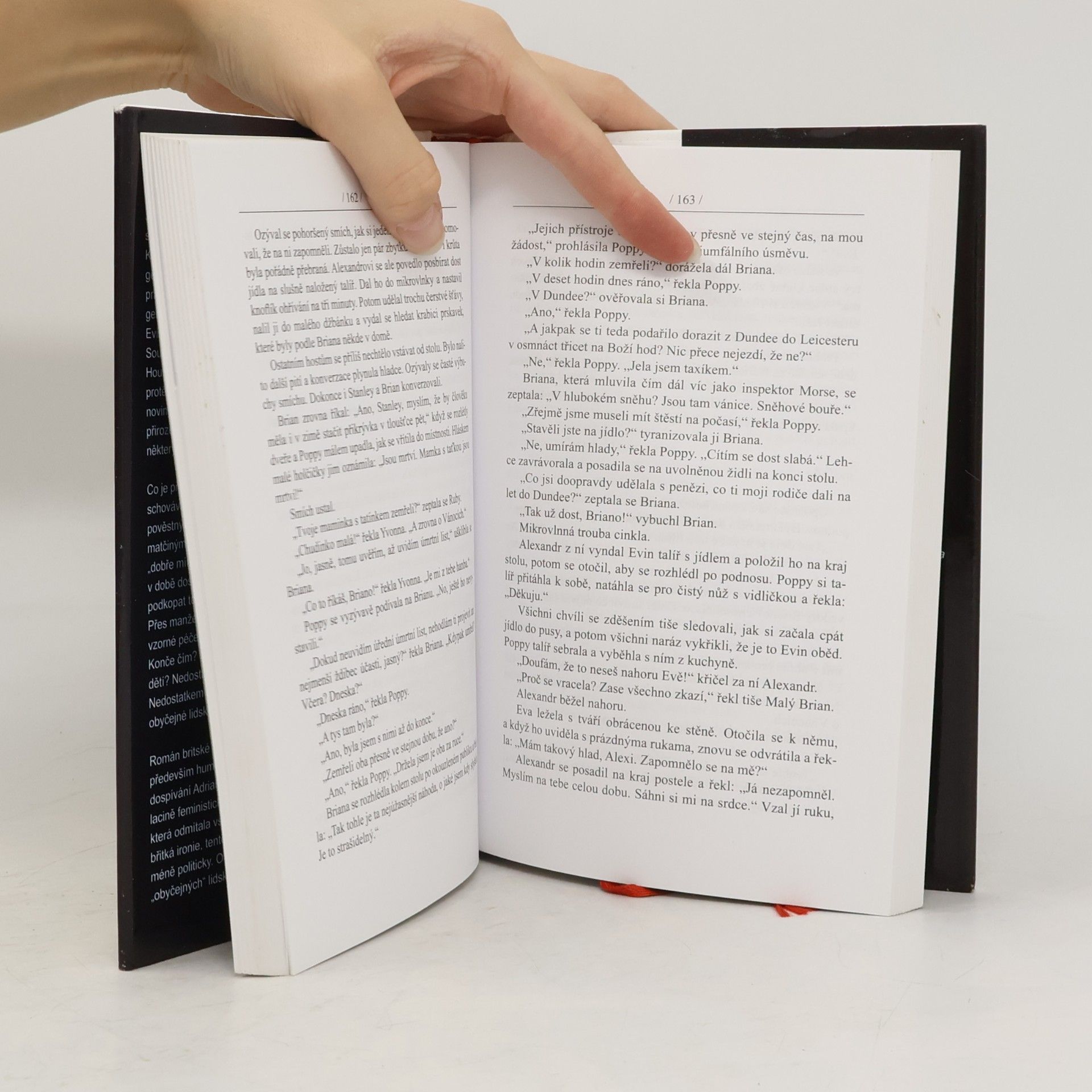 Sue Townsend Žena, která si šla lehnout a rok nevstala